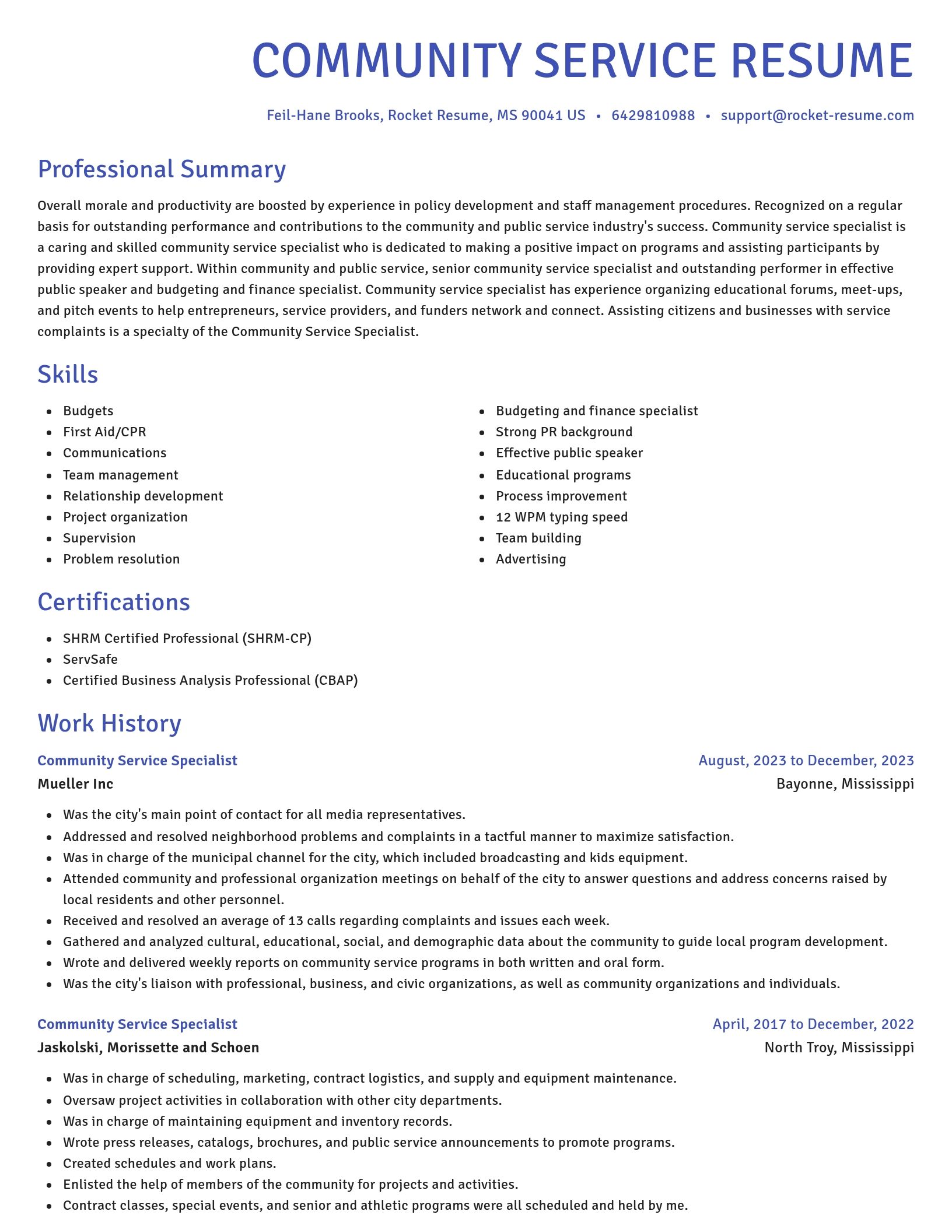 Novel resume template