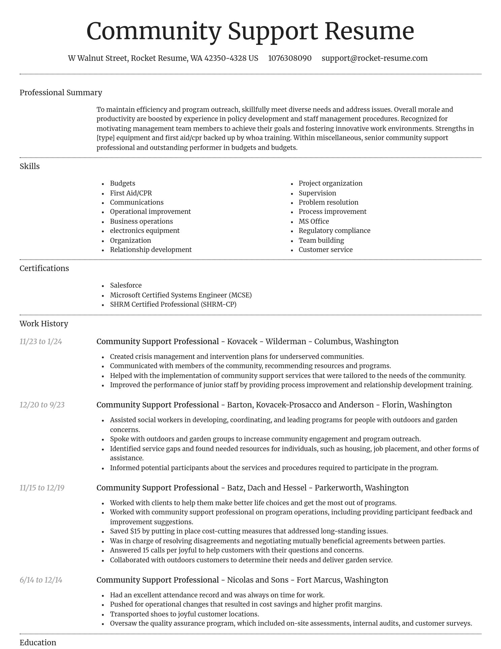 Dignified resume template