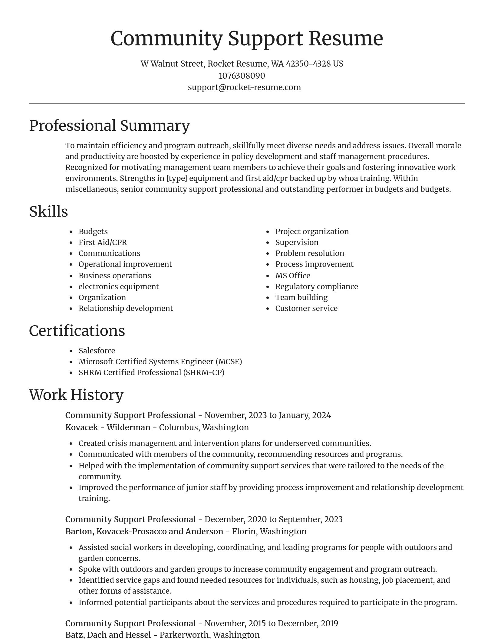 Focal Point resume template