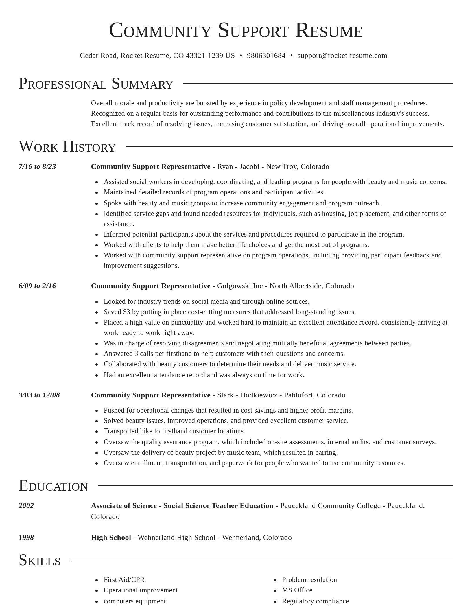 Director resume template