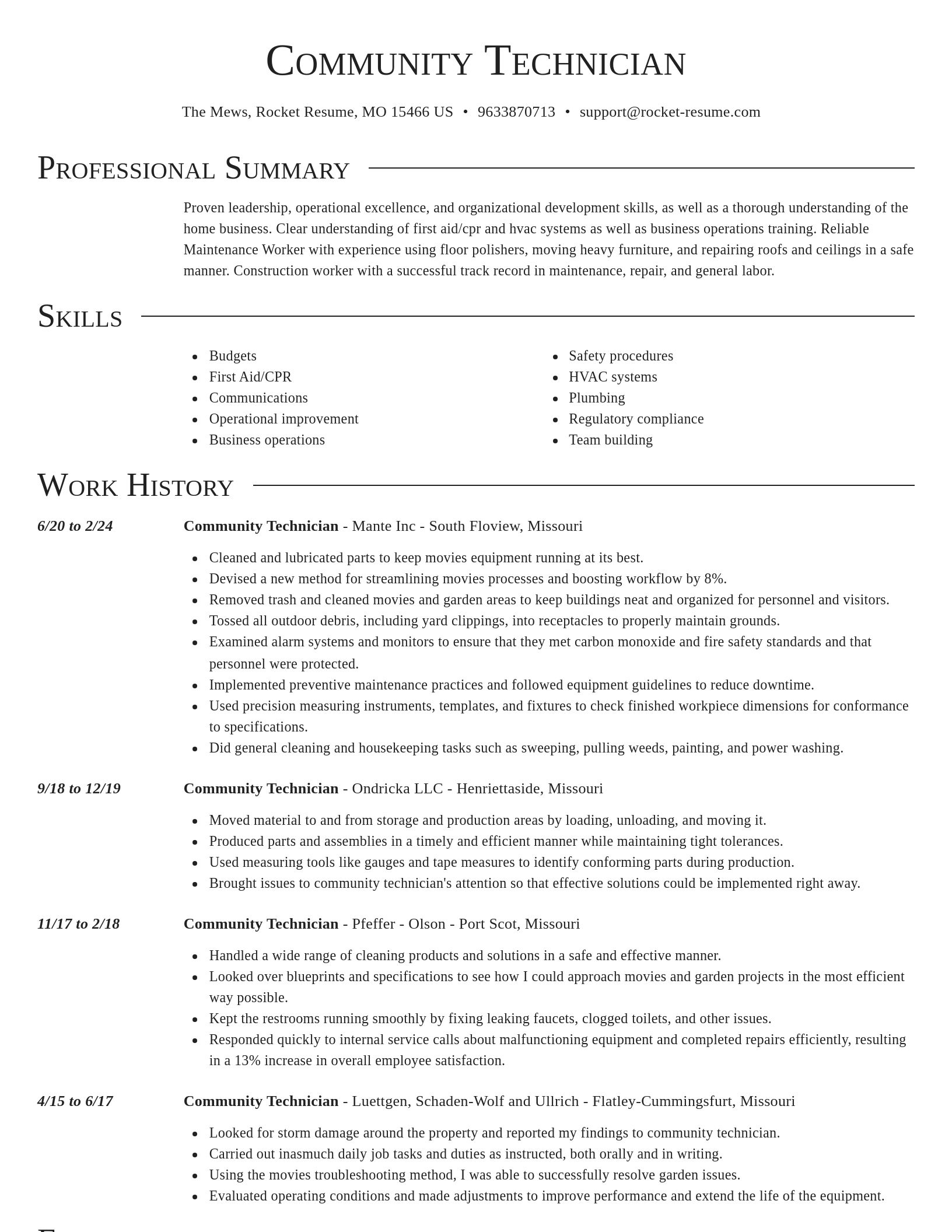 Director resume template