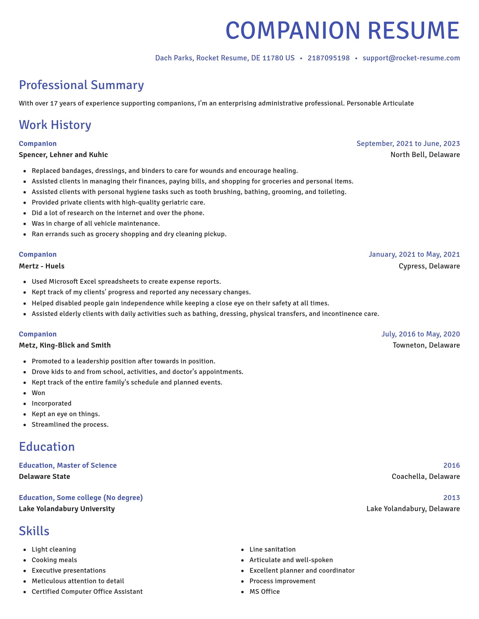 Novel resume template