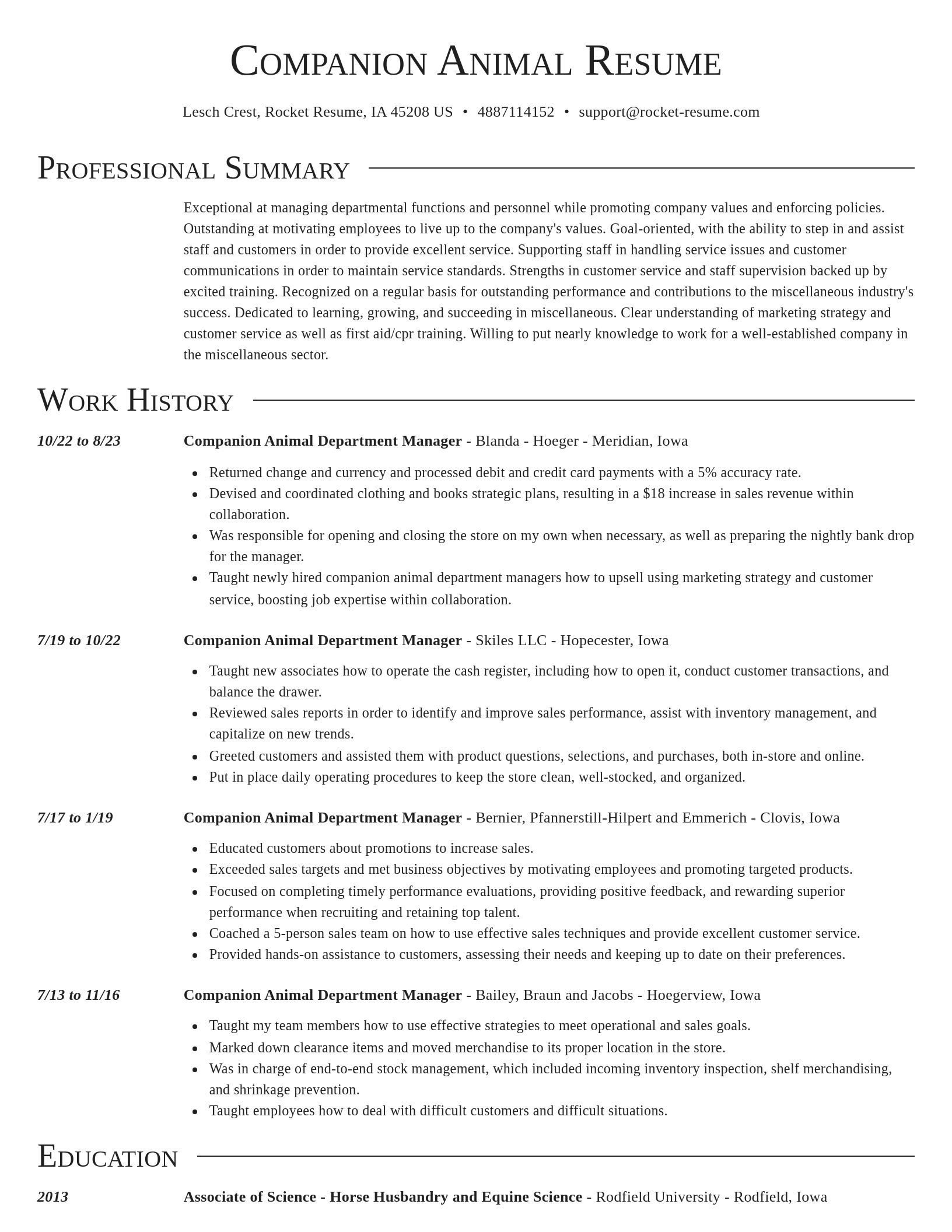 Director resume template