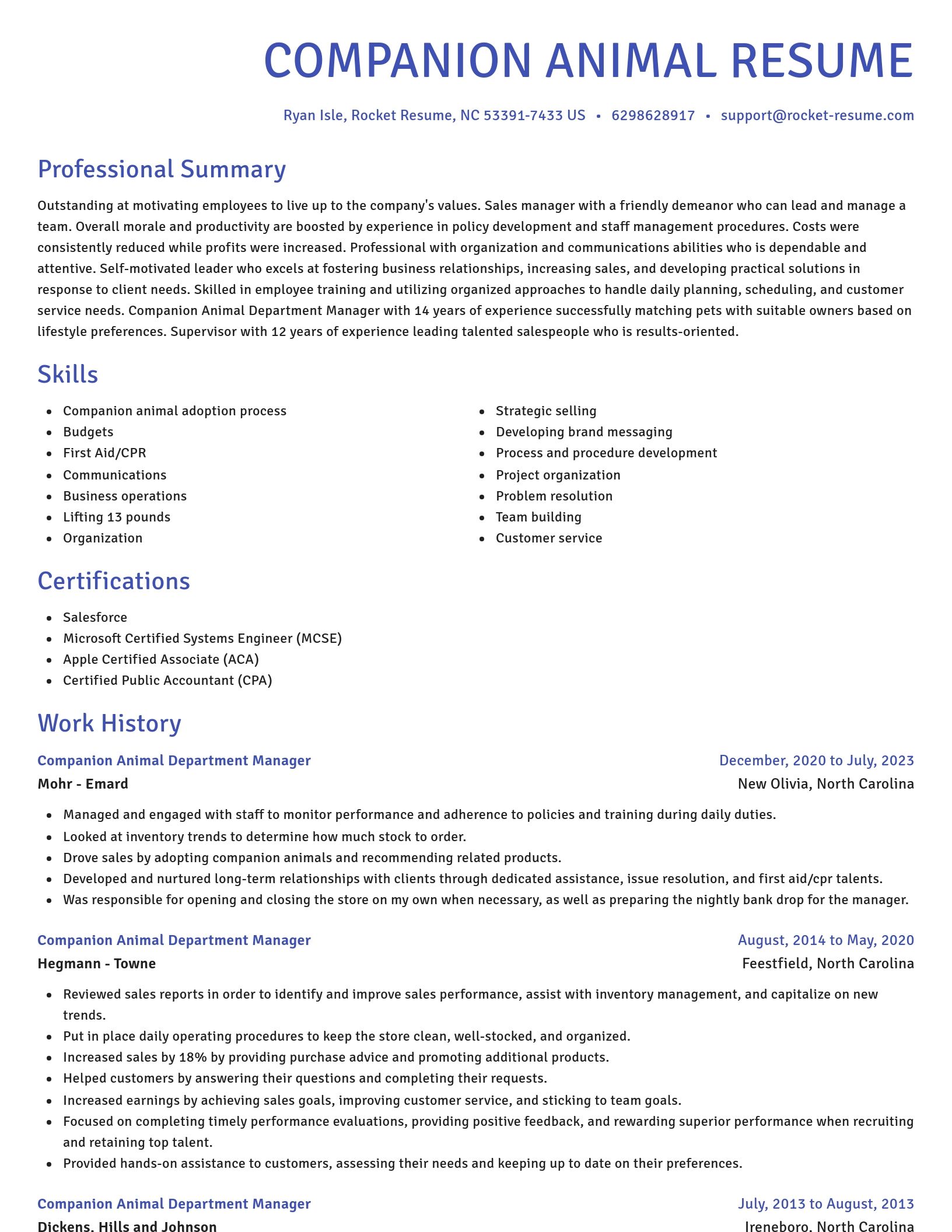Novel resume template