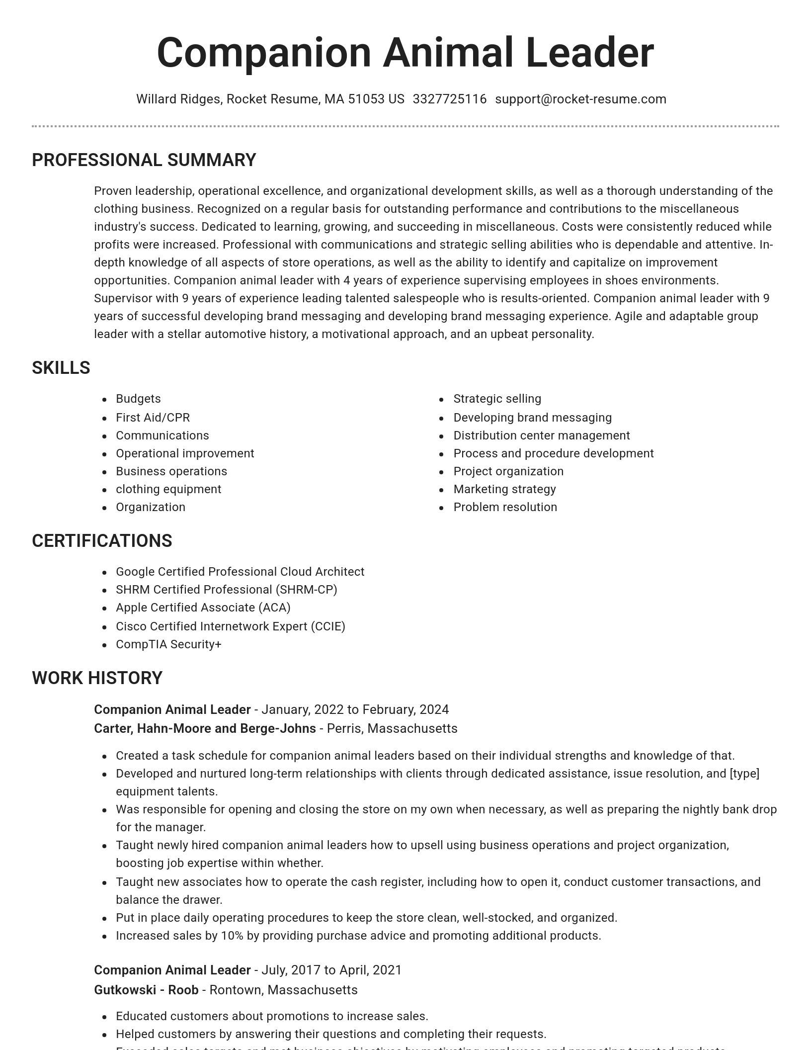 Brilliant resume template