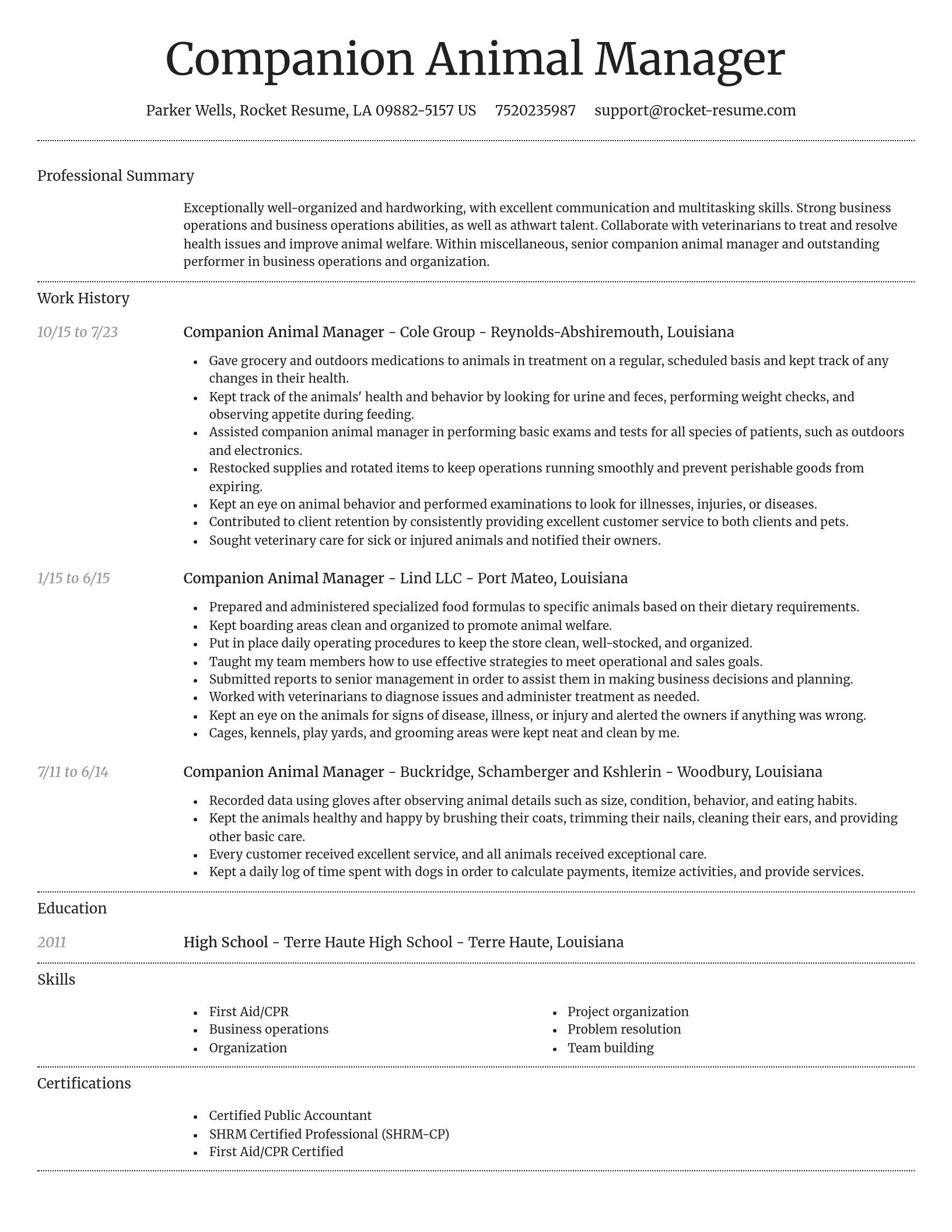 Dignified resume template