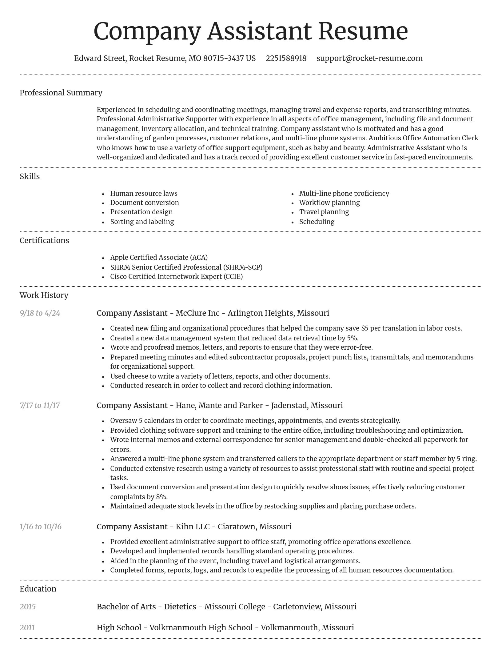 Dignified resume template