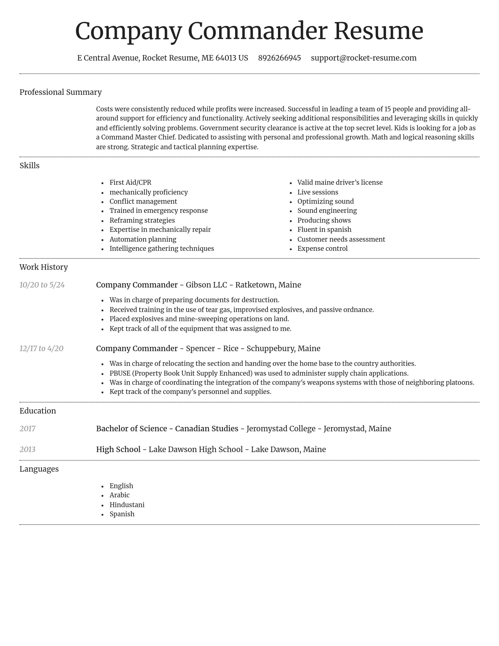 Dignified resume template