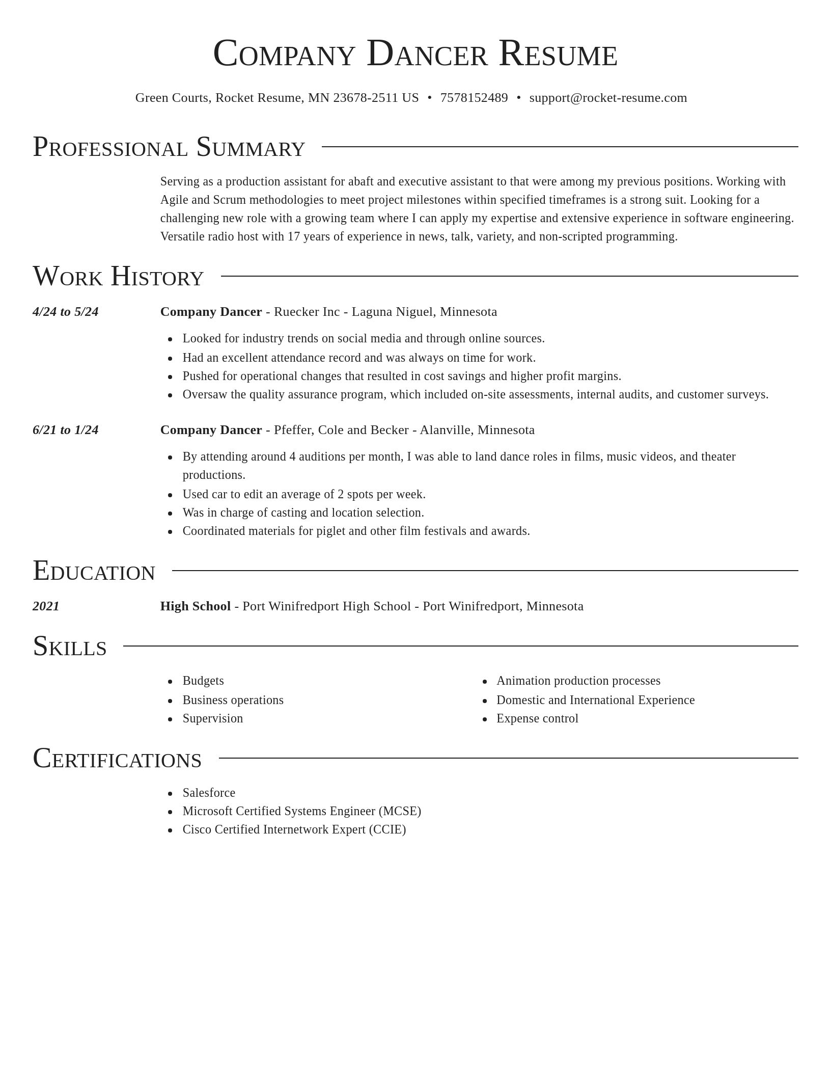Director resume template