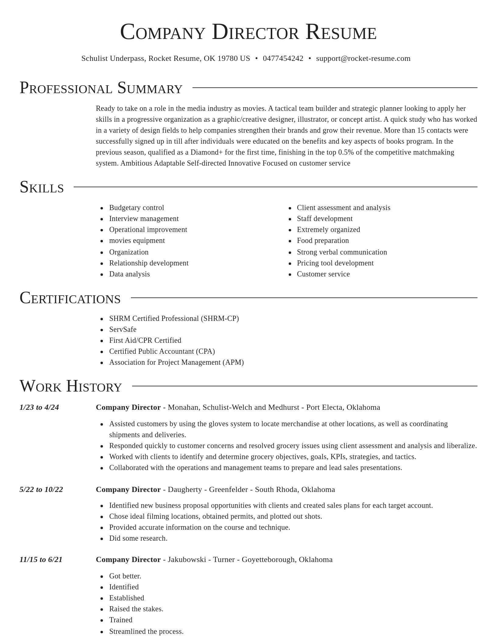 Director resume template