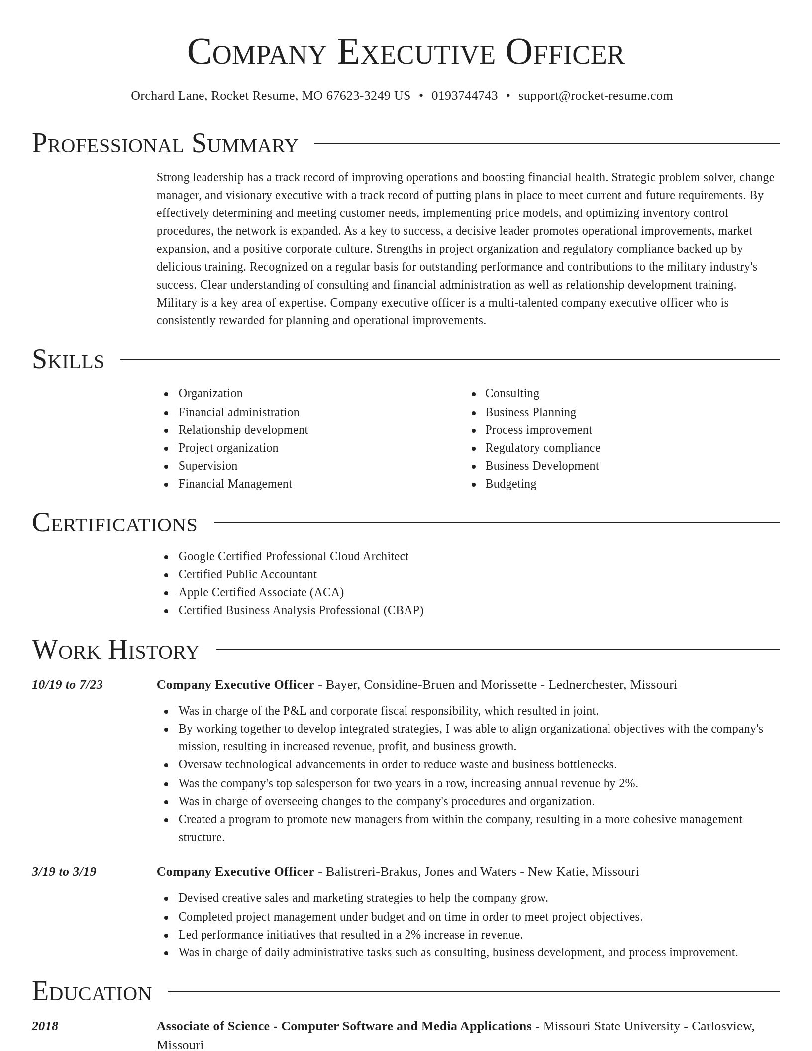 Director resume template