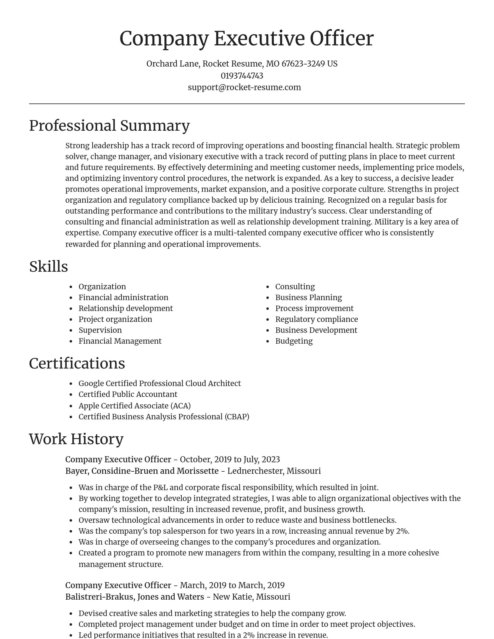 Focal Point resume template