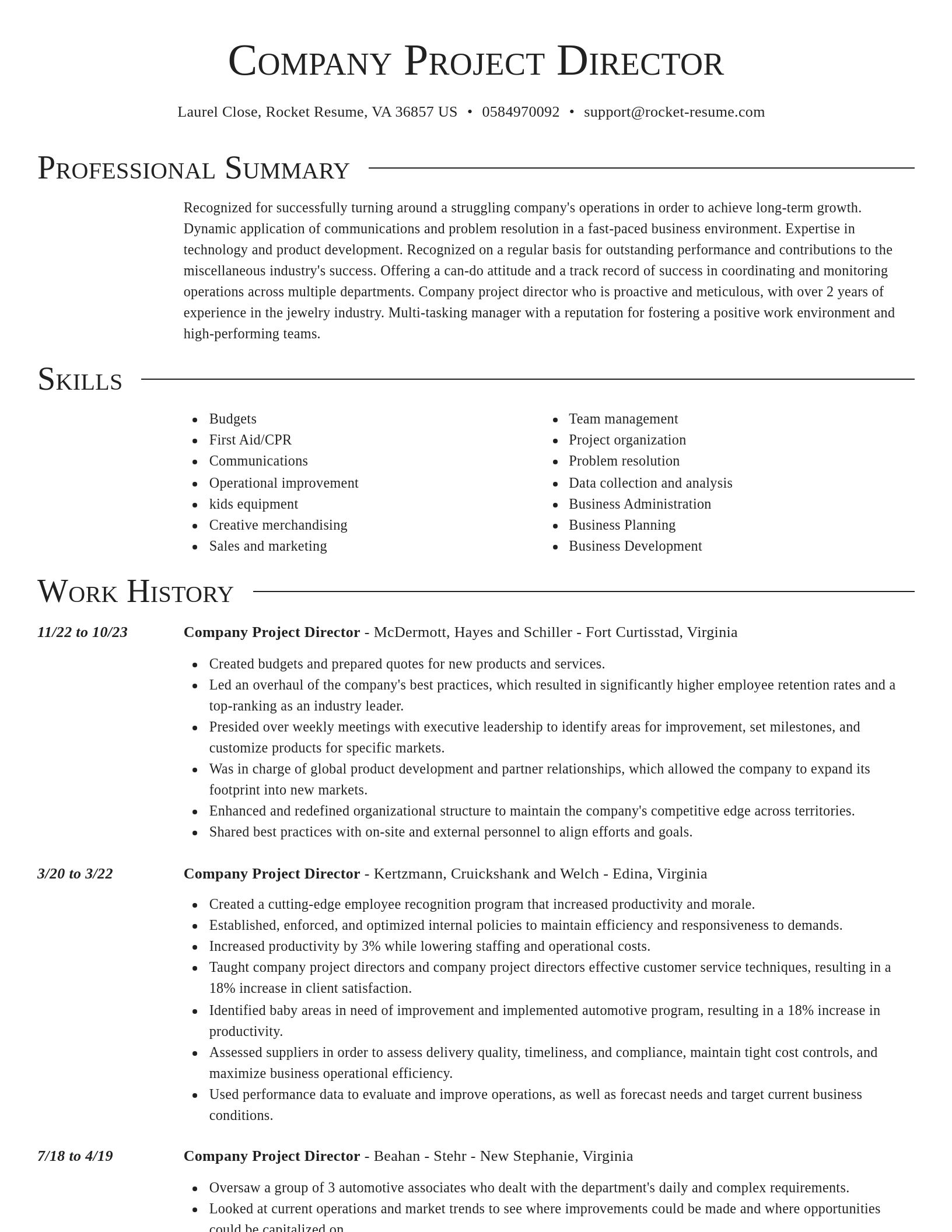 Director resume template