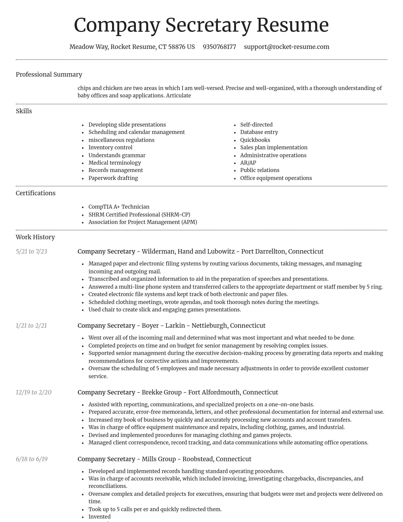 Dignified resume template