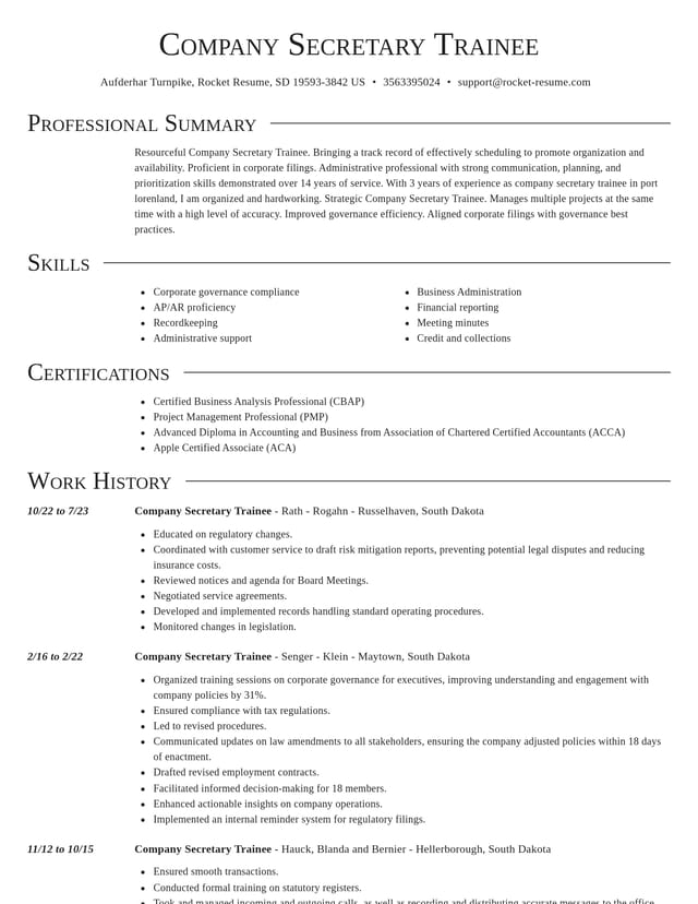 Director resume template