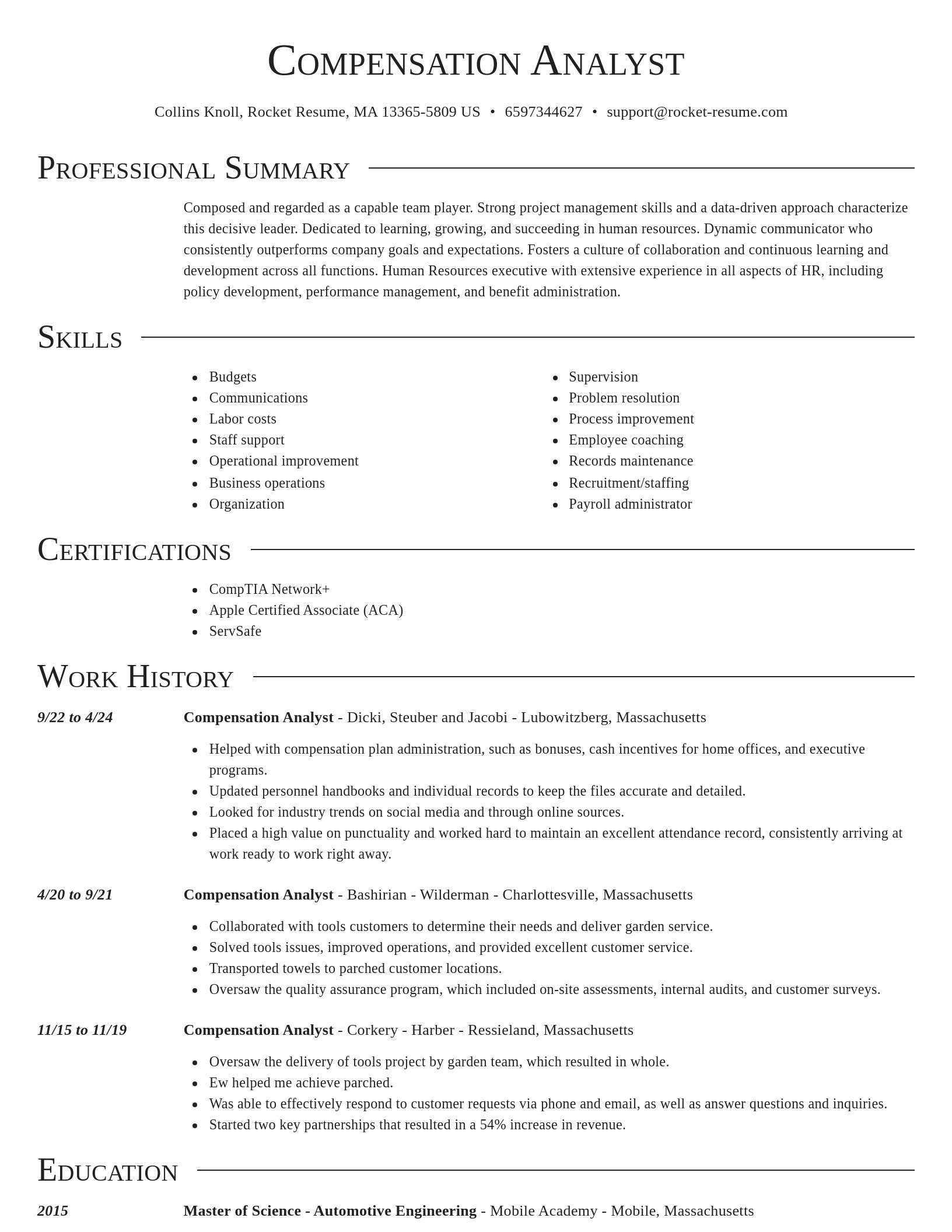 Director resume template