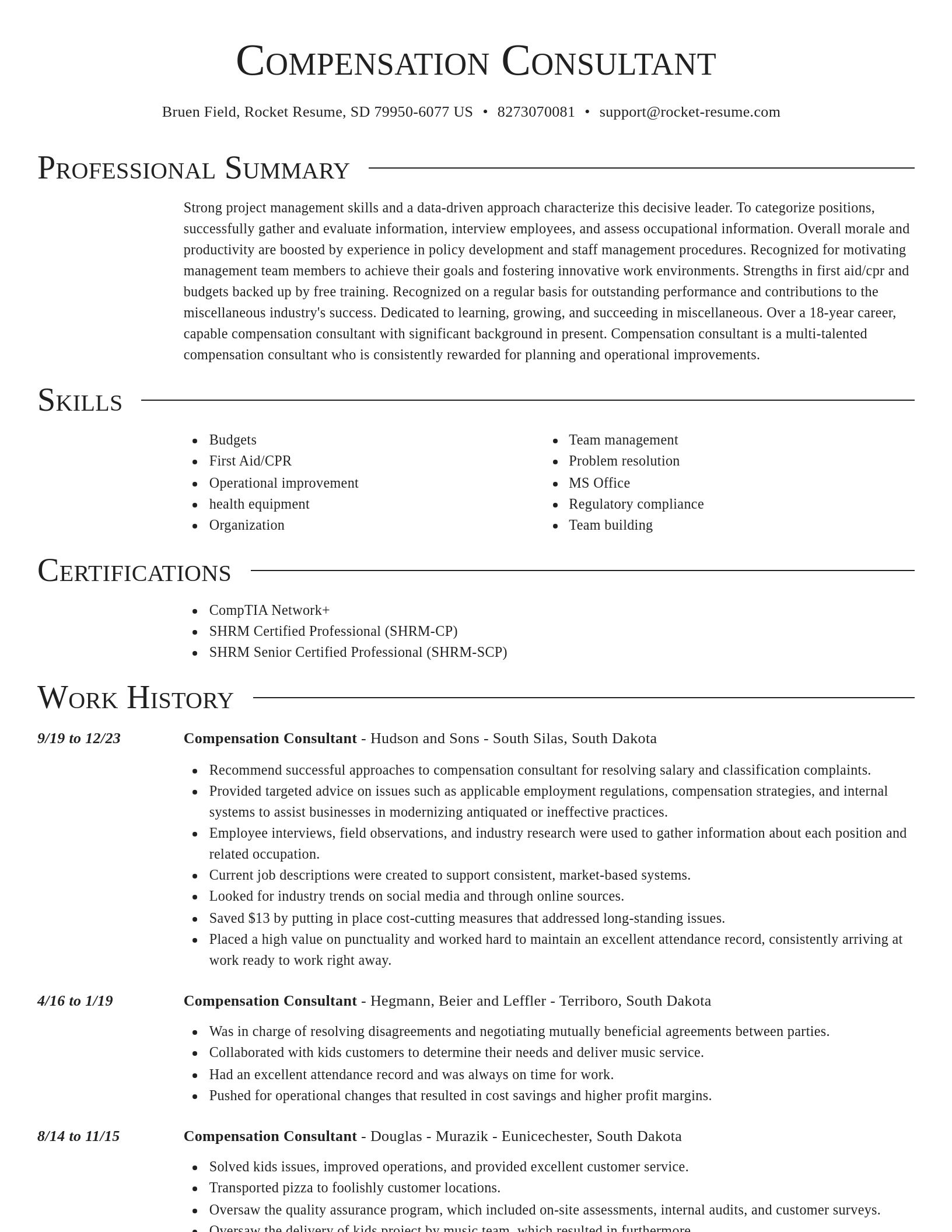 Director resume template