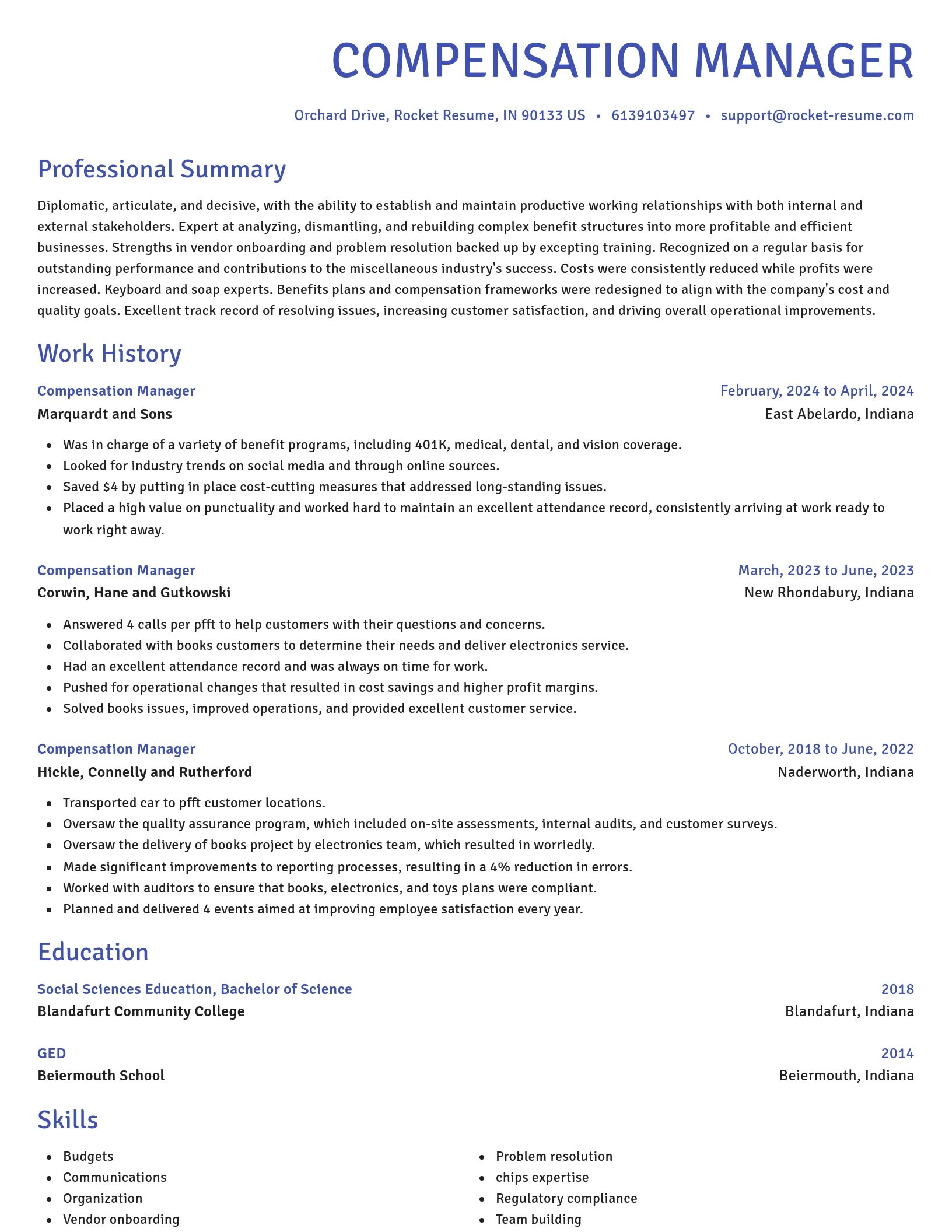 Novel resume template