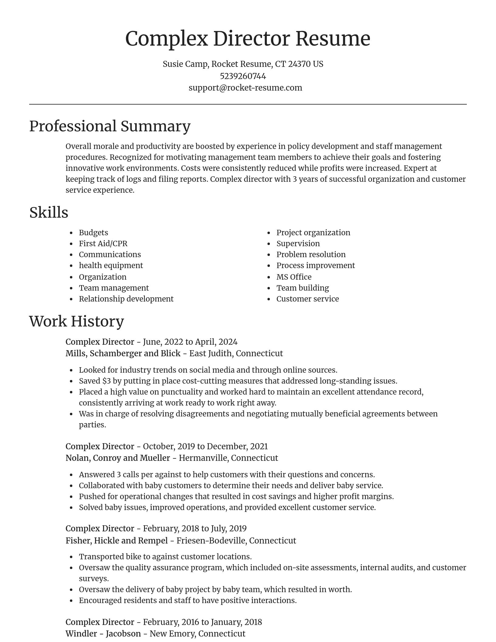 Focal Point resume template