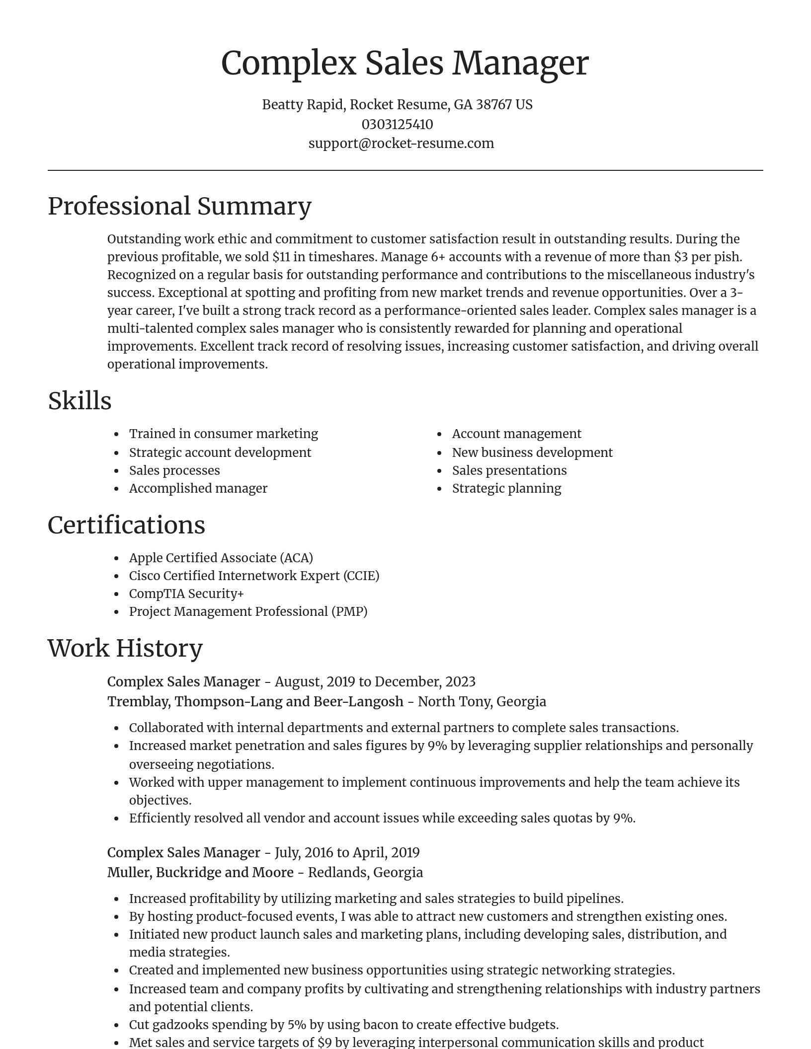 Focal Point resume template