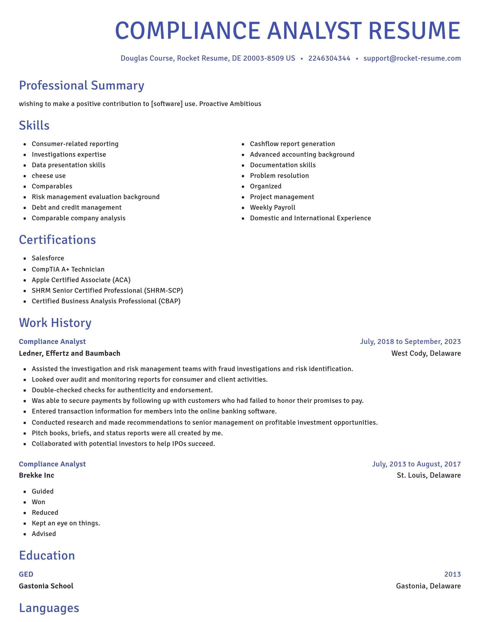 Novel resume template