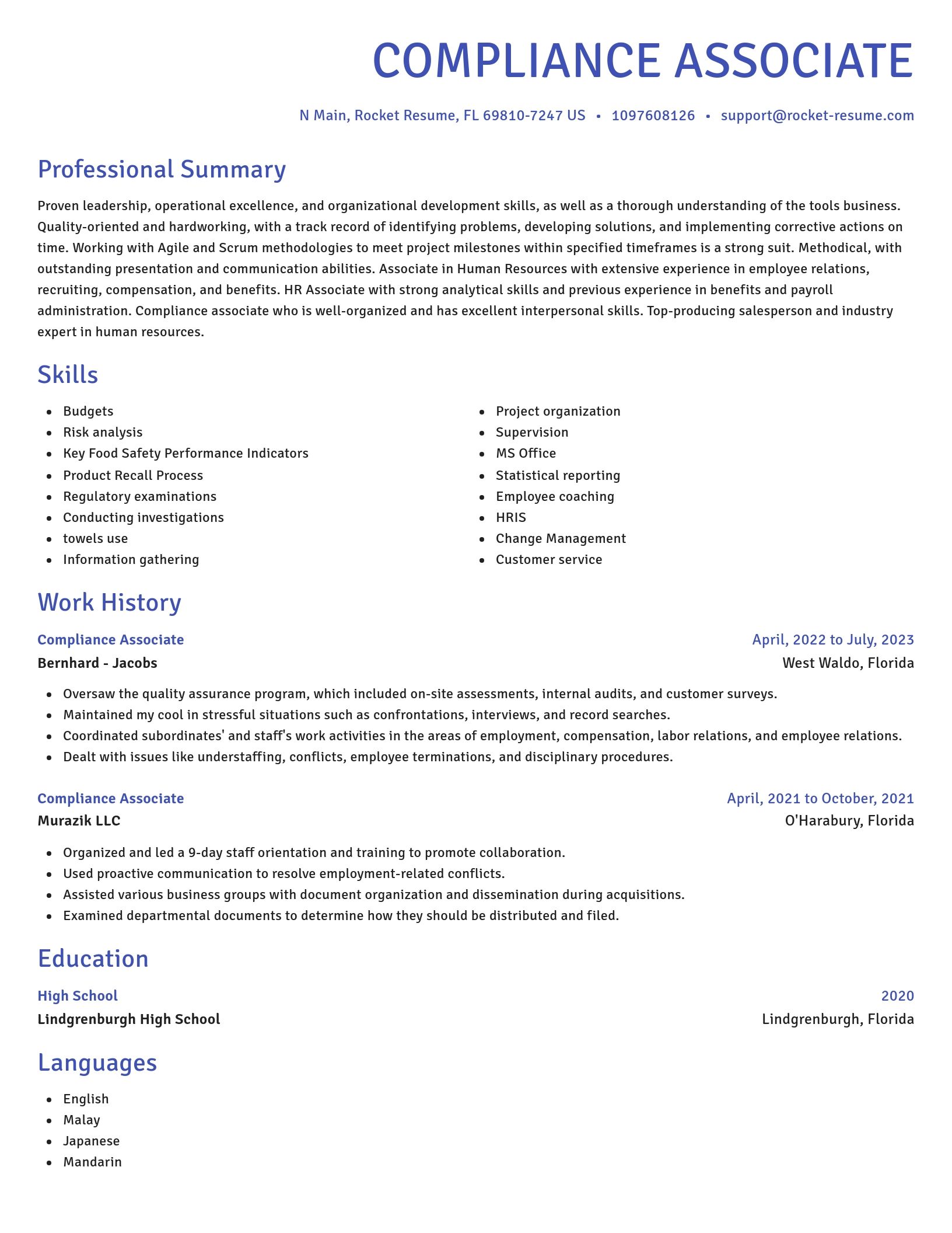 Novel resume template
