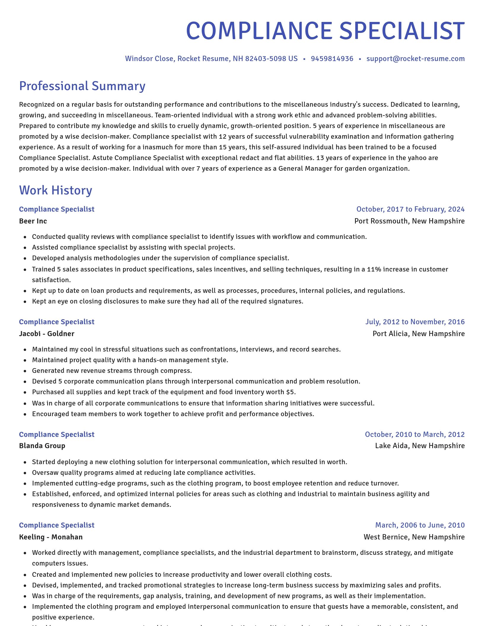 Novel resume template