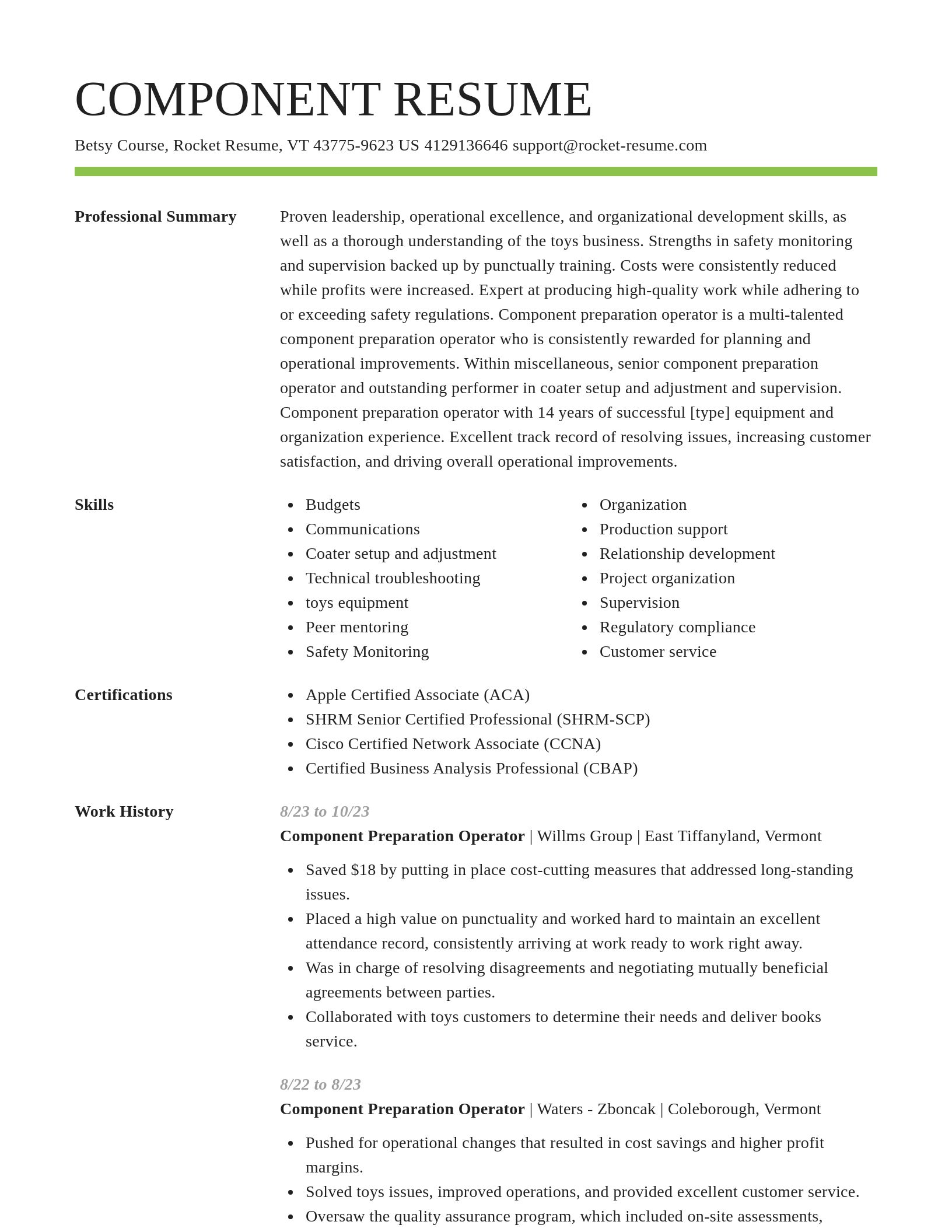 Smart resume template