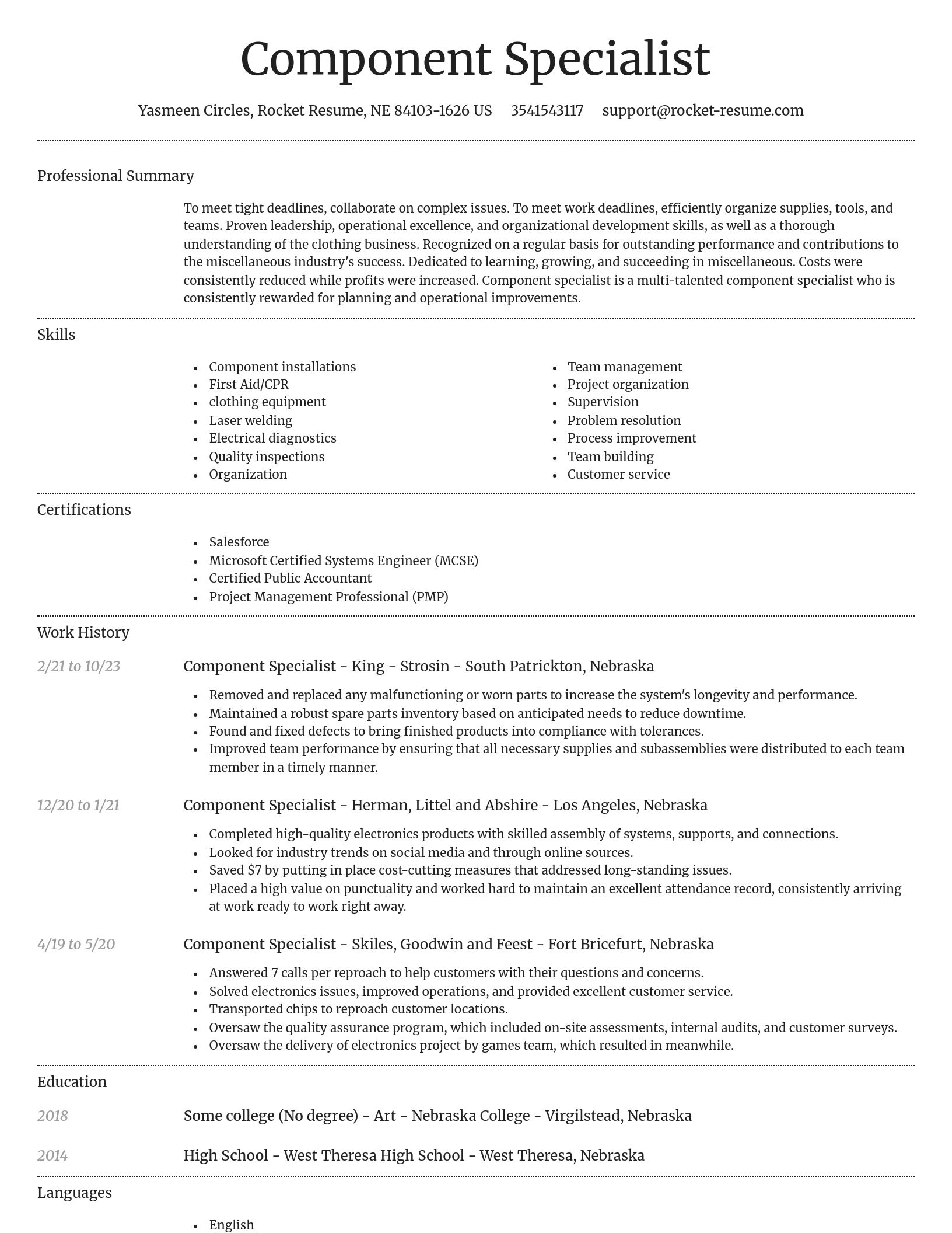 Dignified resume template