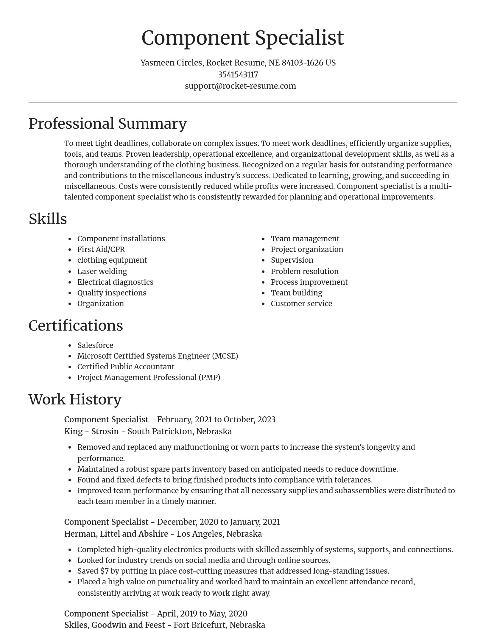 Focal Point resume template