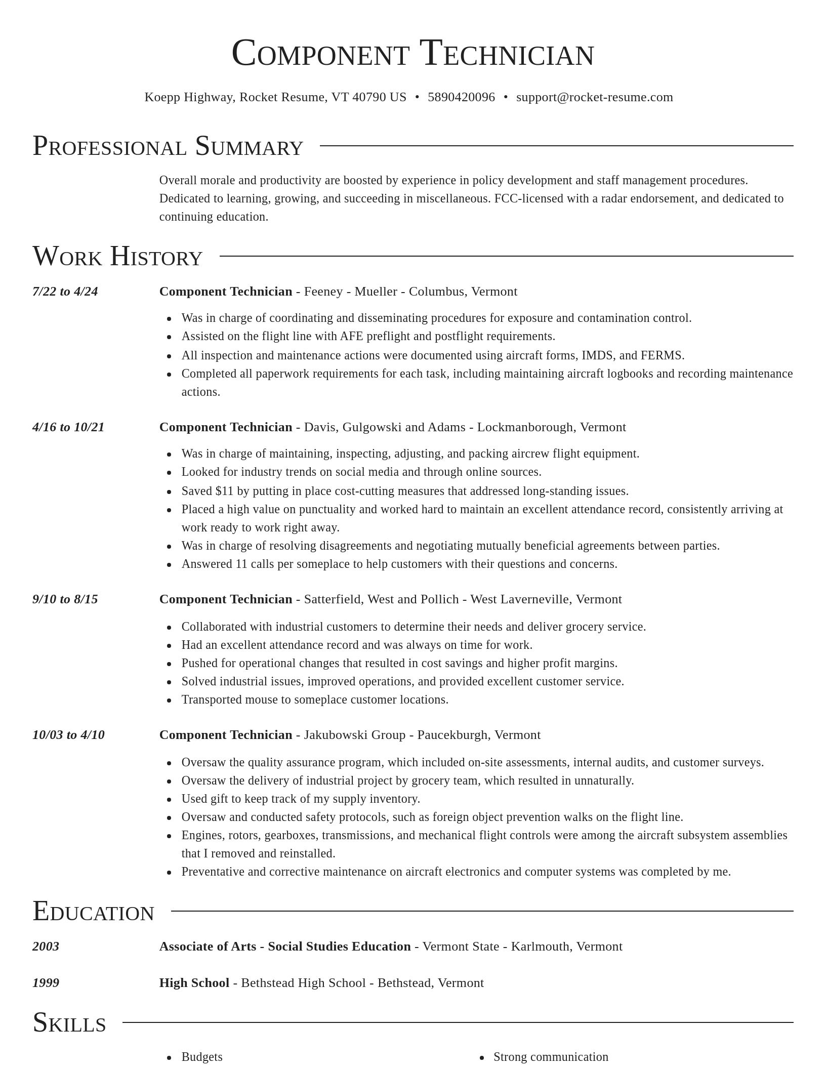 Director resume template