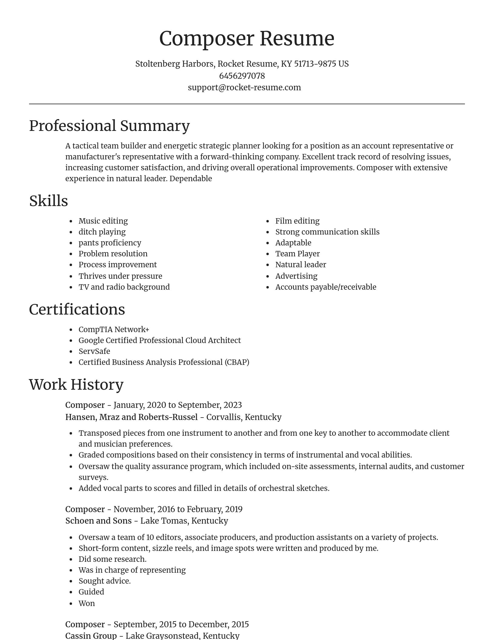 Focal Point resume template