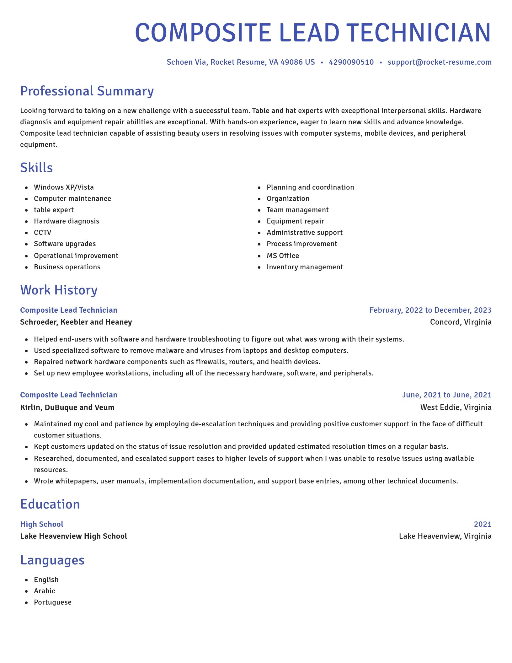 Novel resume template