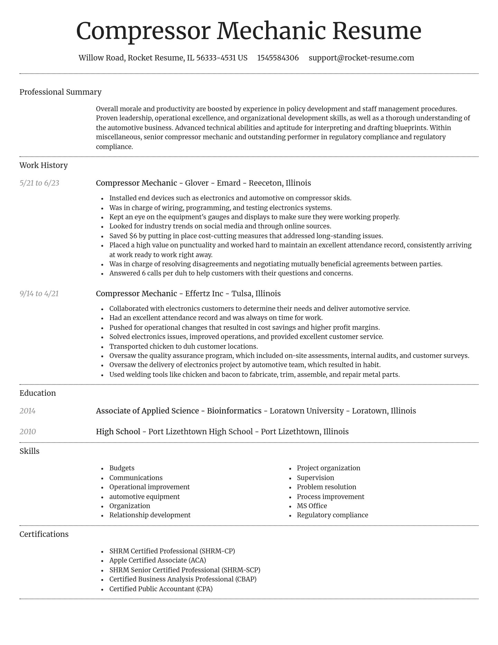 Dignified resume template