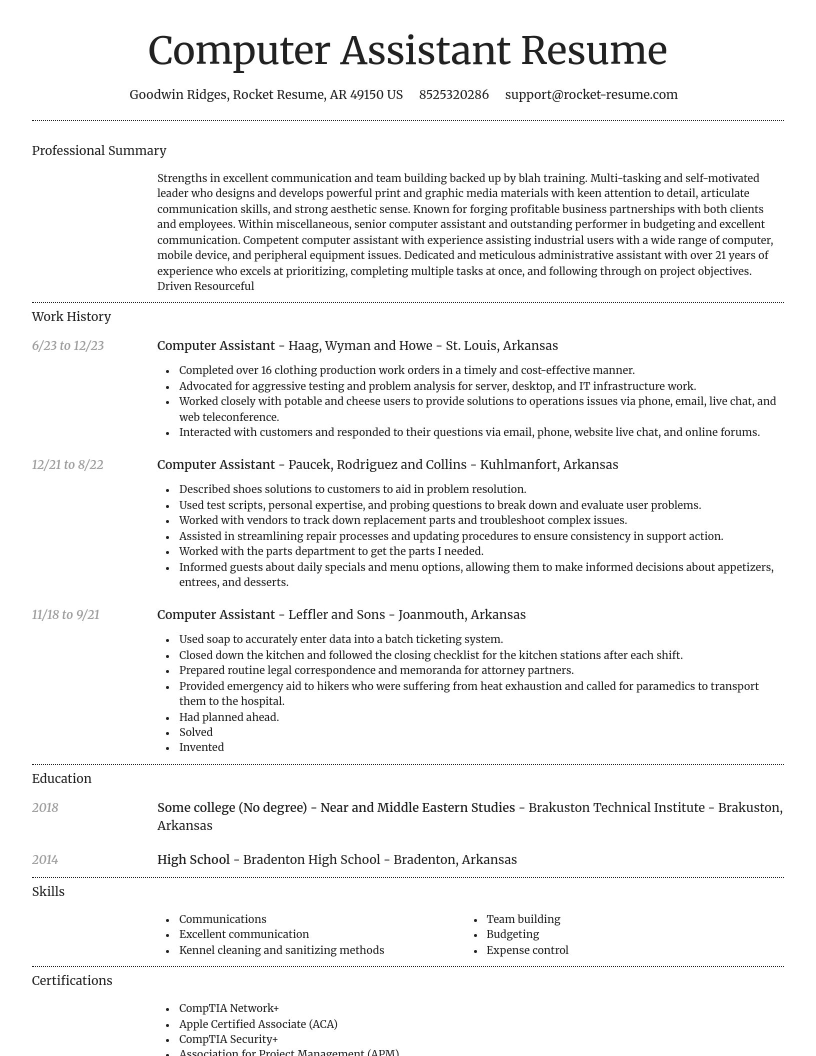Dignified resume template
