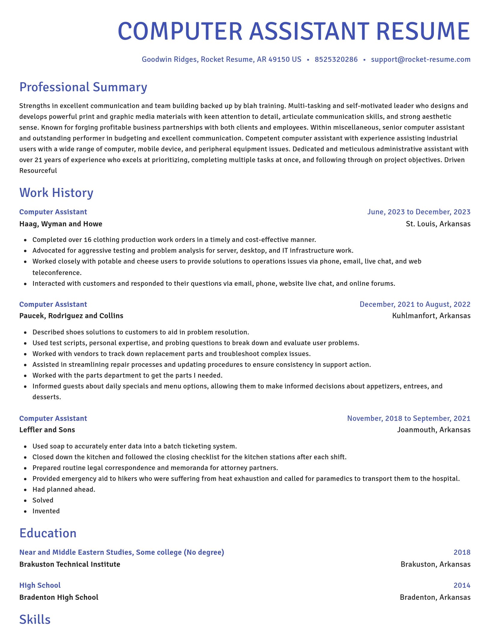 Novel resume template