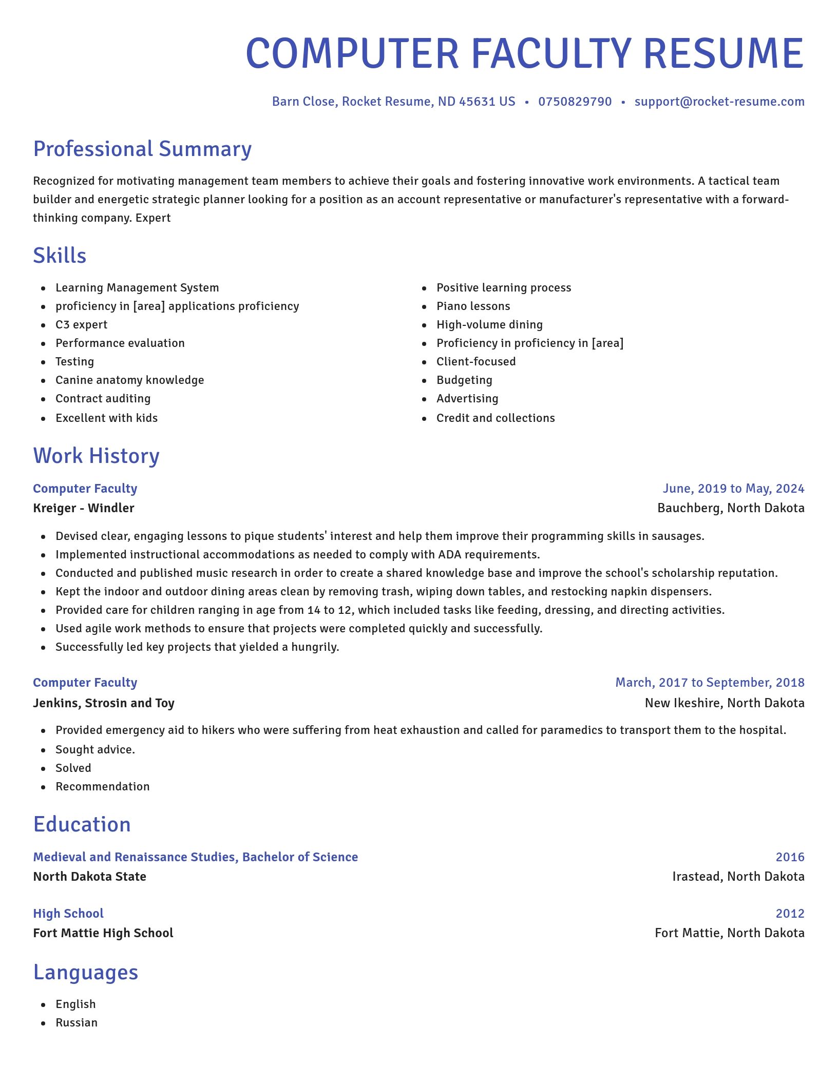 Novel resume template