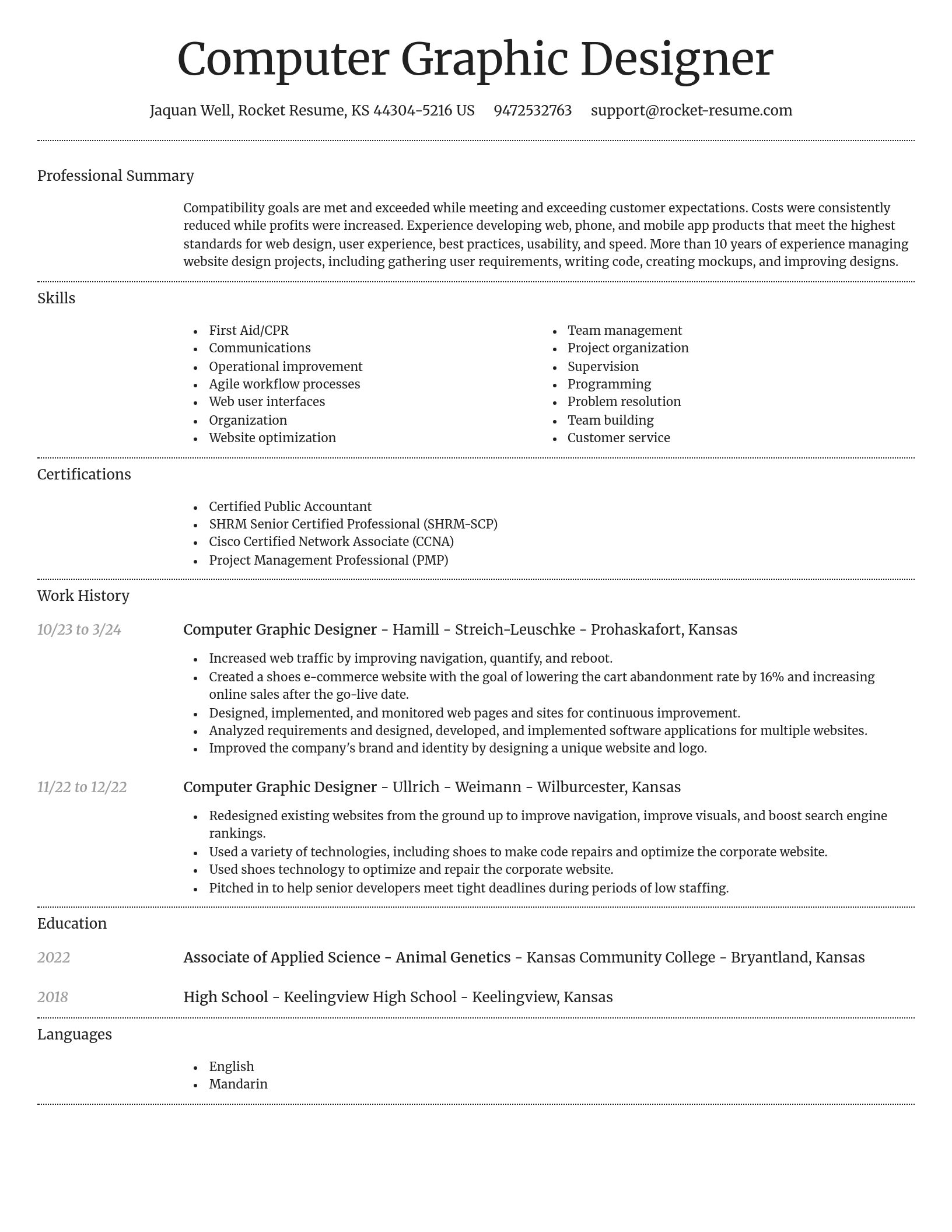 Dignified resume template