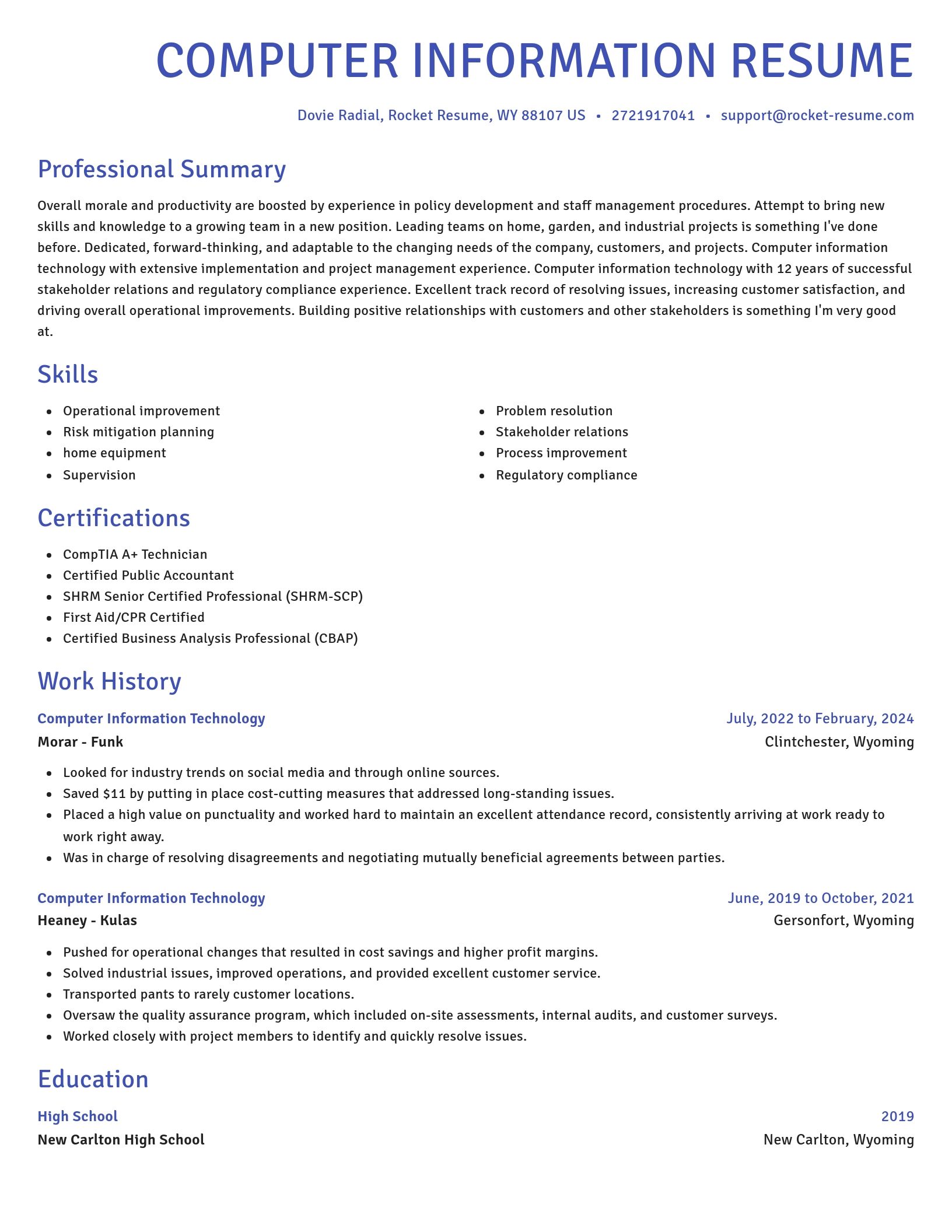 Novel resume template