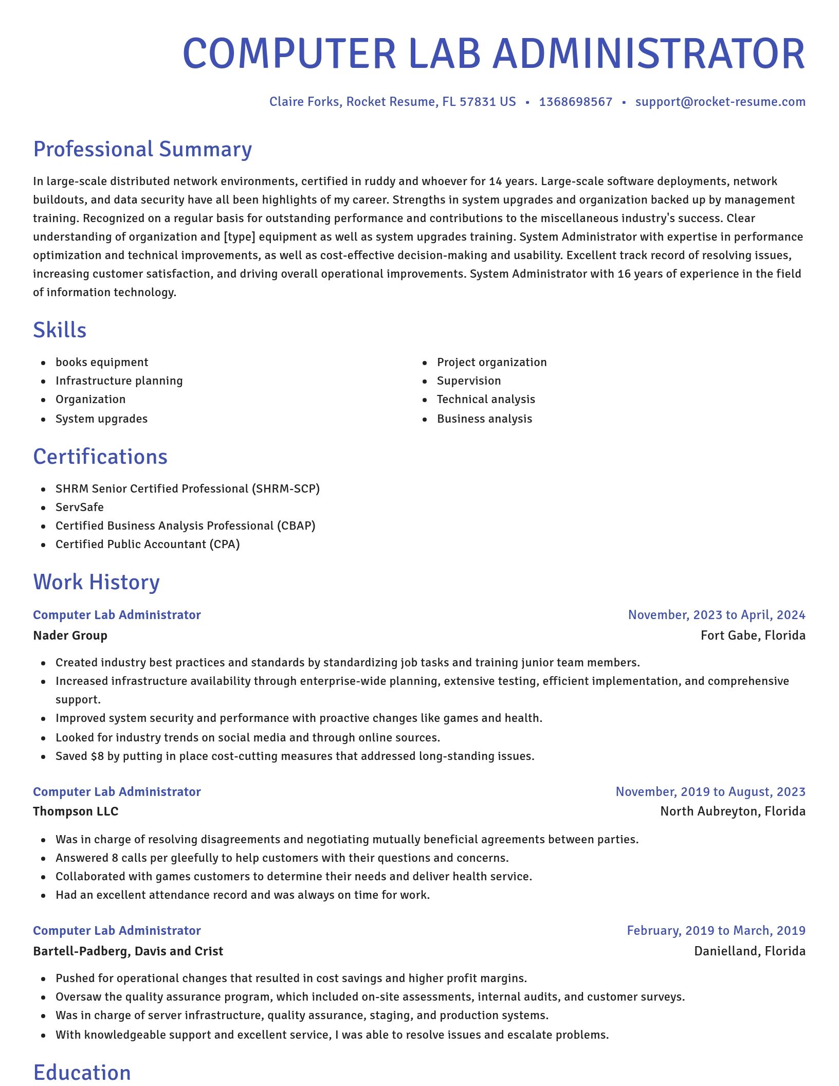 Novel resume template