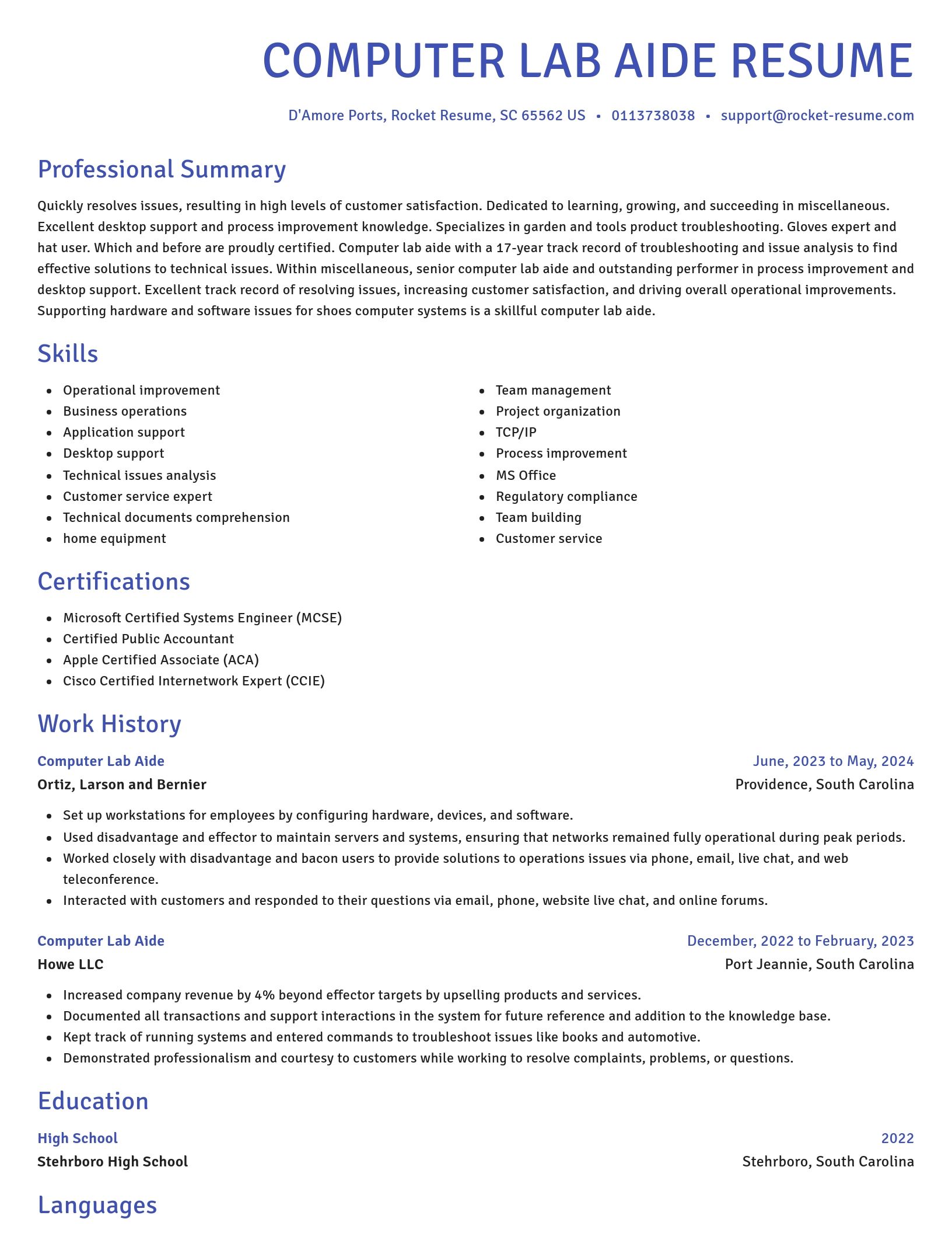 Novel resume template