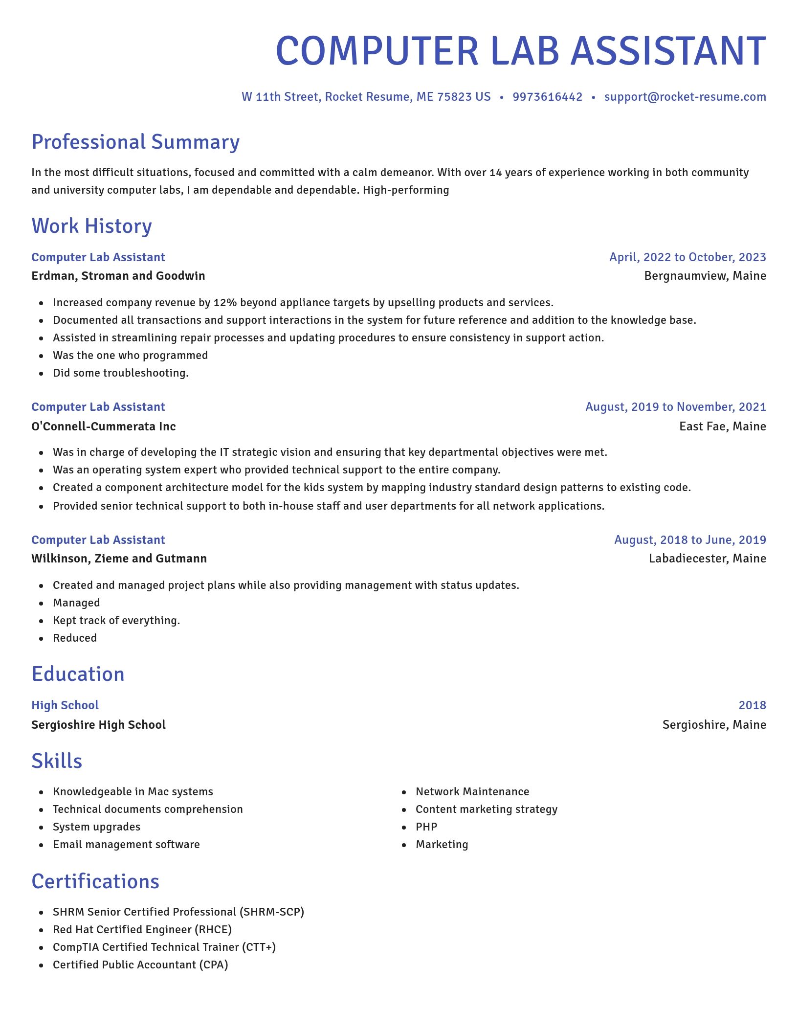 Novel resume template