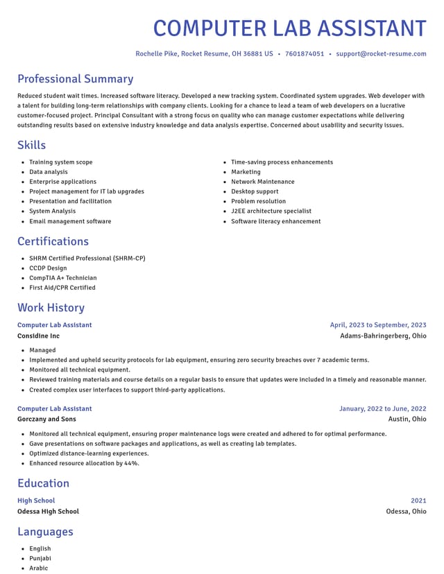 Novel resume template