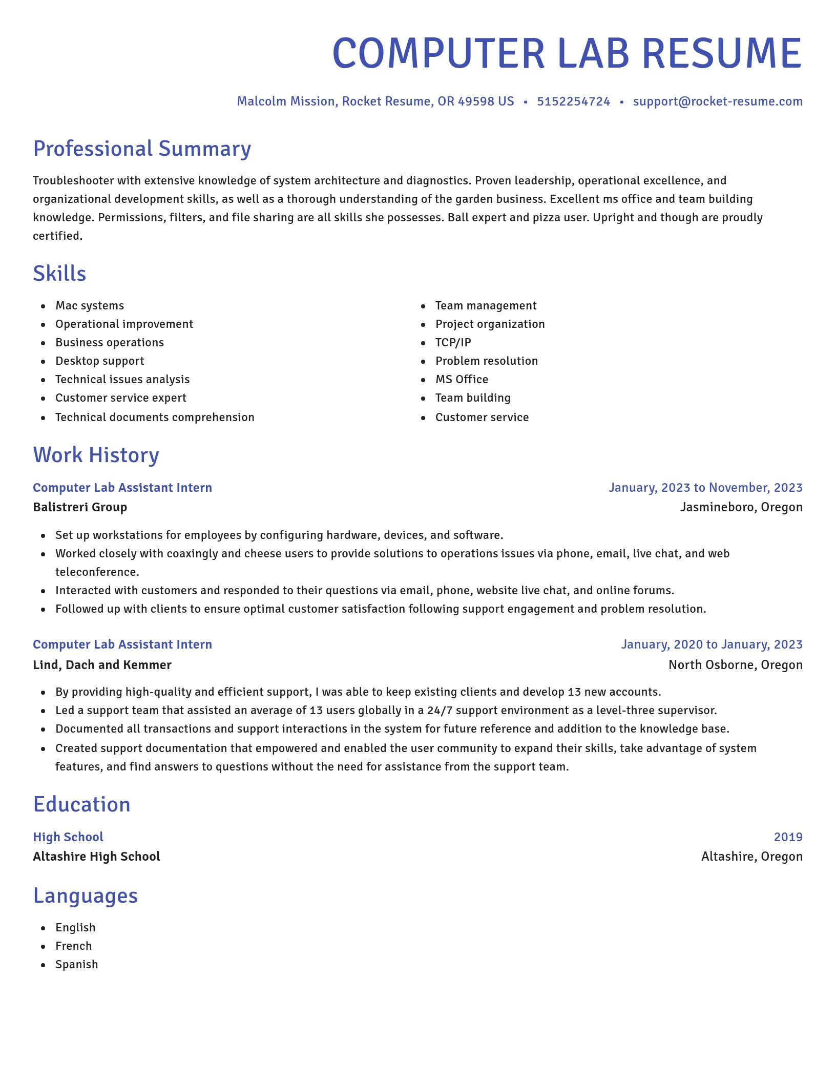 Novel resume template