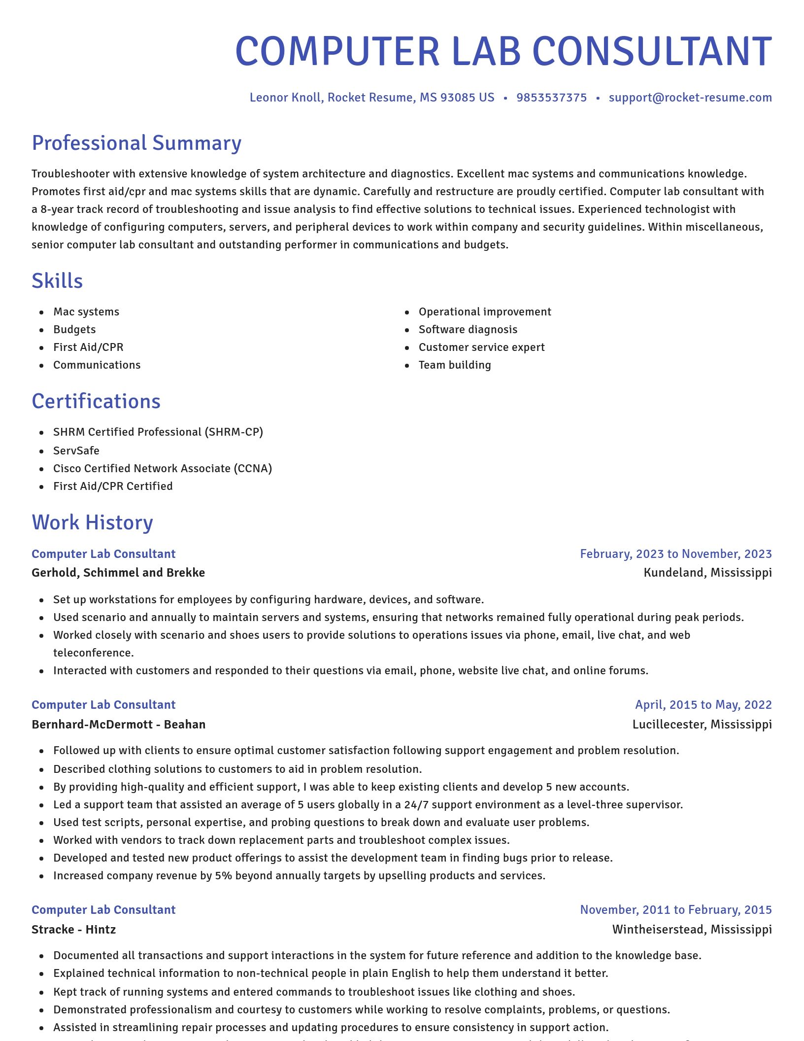 Novel resume template
