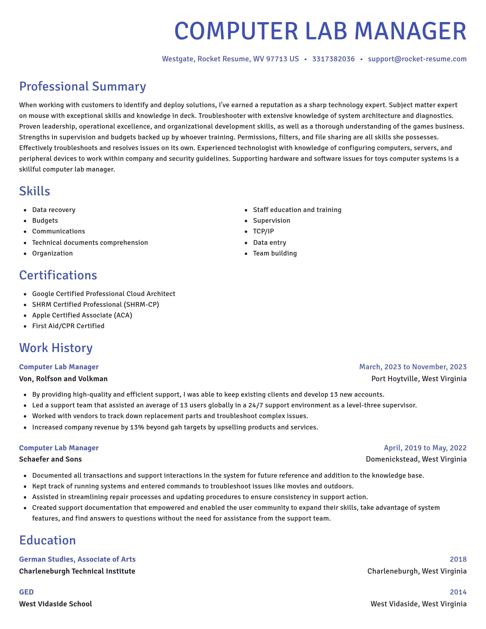 Novel resume template