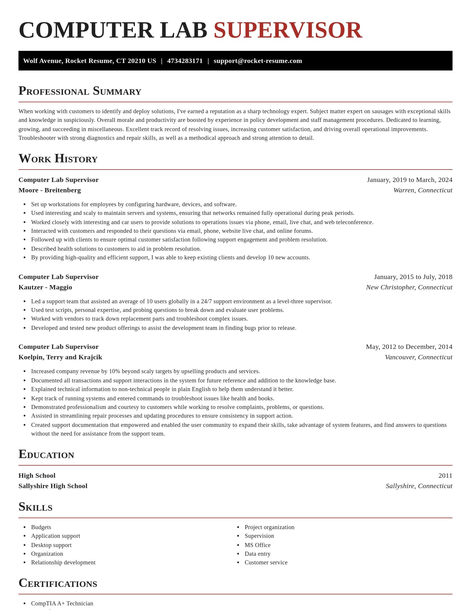 Exquisite resume template