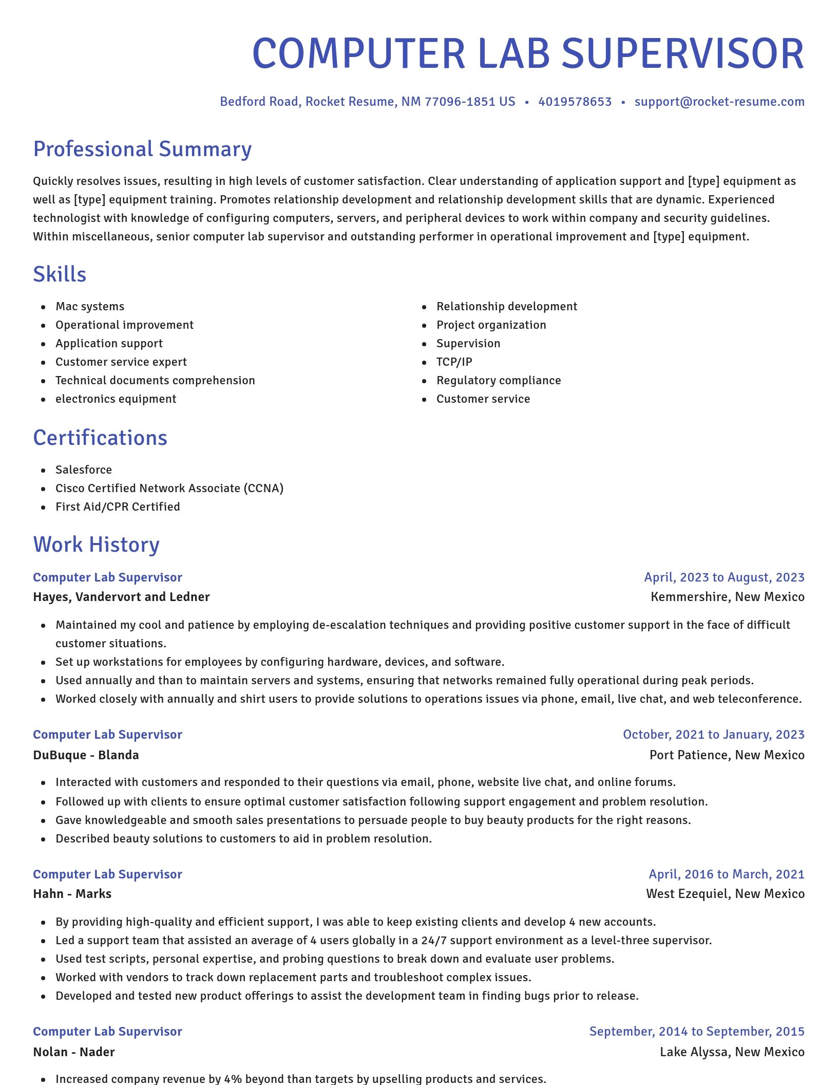 Novel resume template