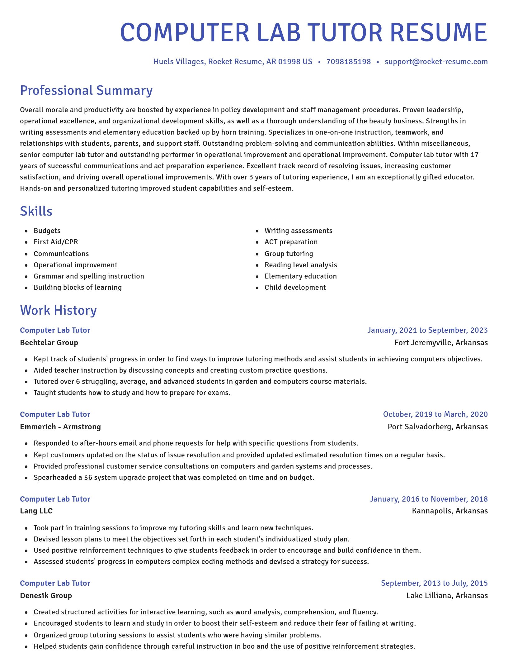 Novel resume template
