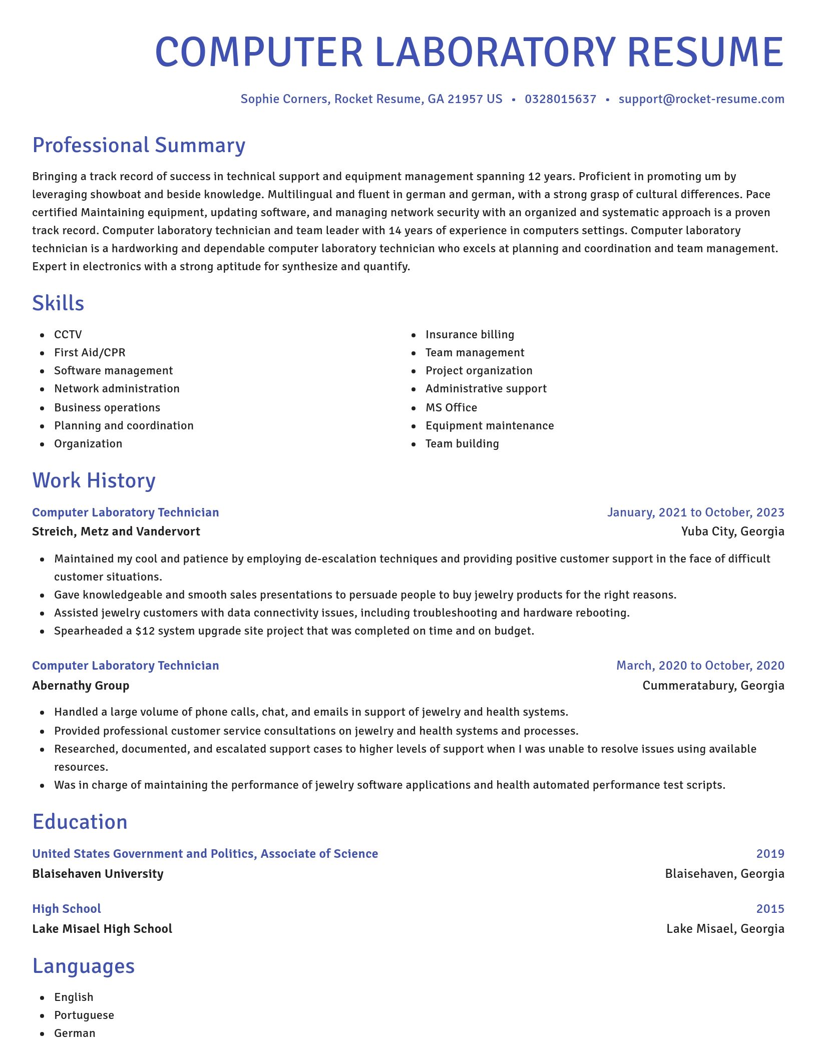 Novel resume template